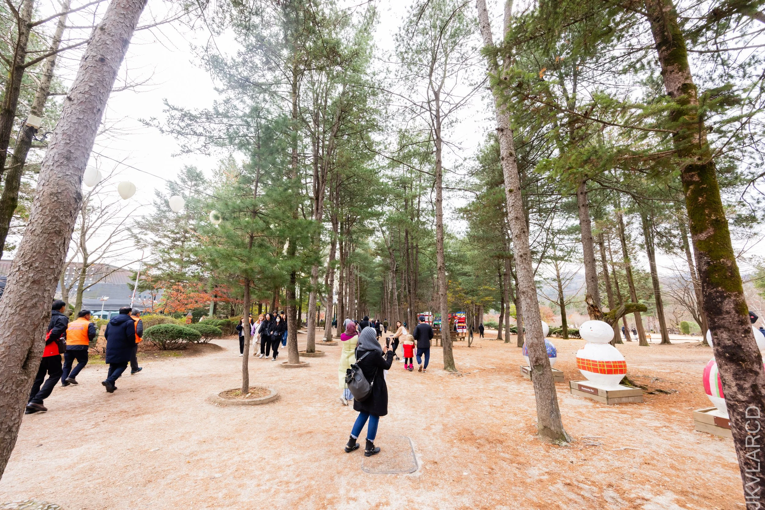 EOS R5_2023_11_17_0021.jpg