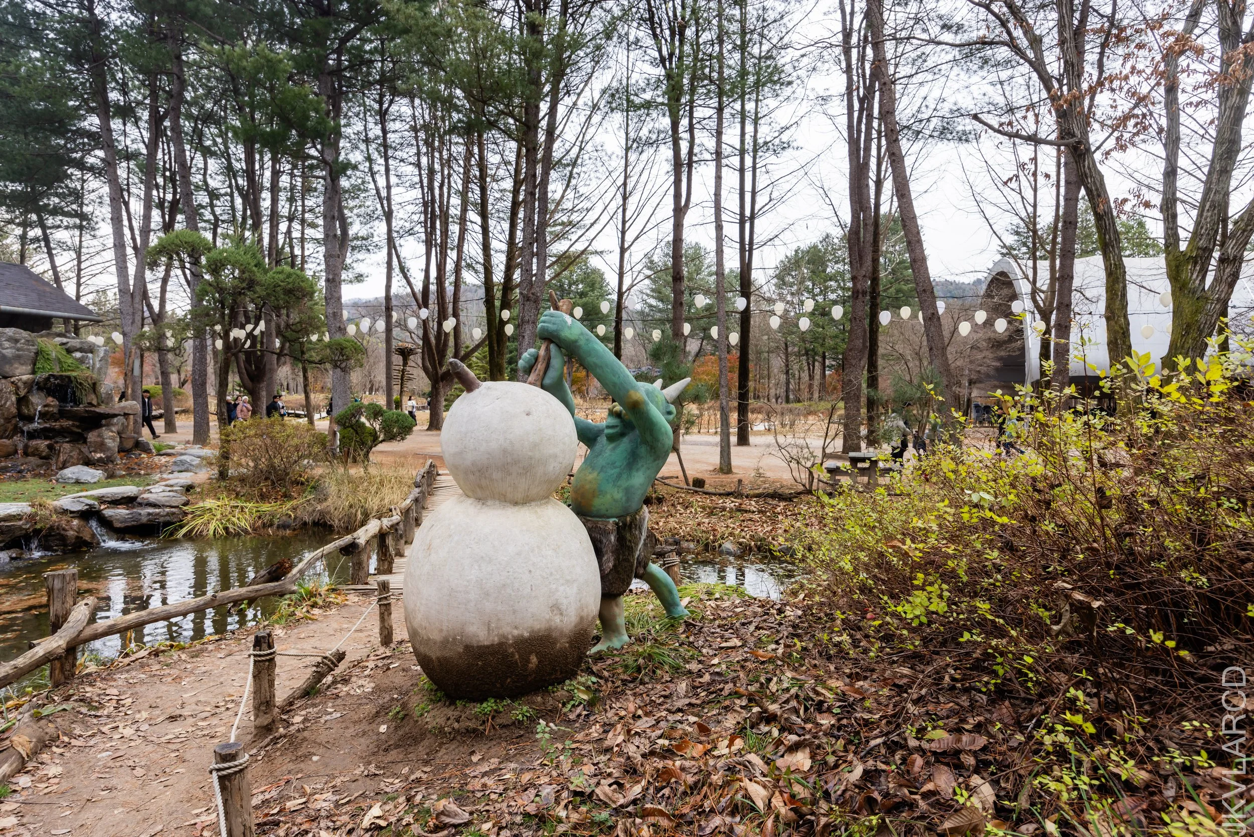 EOS R5_2023_11_17_0040.jpg