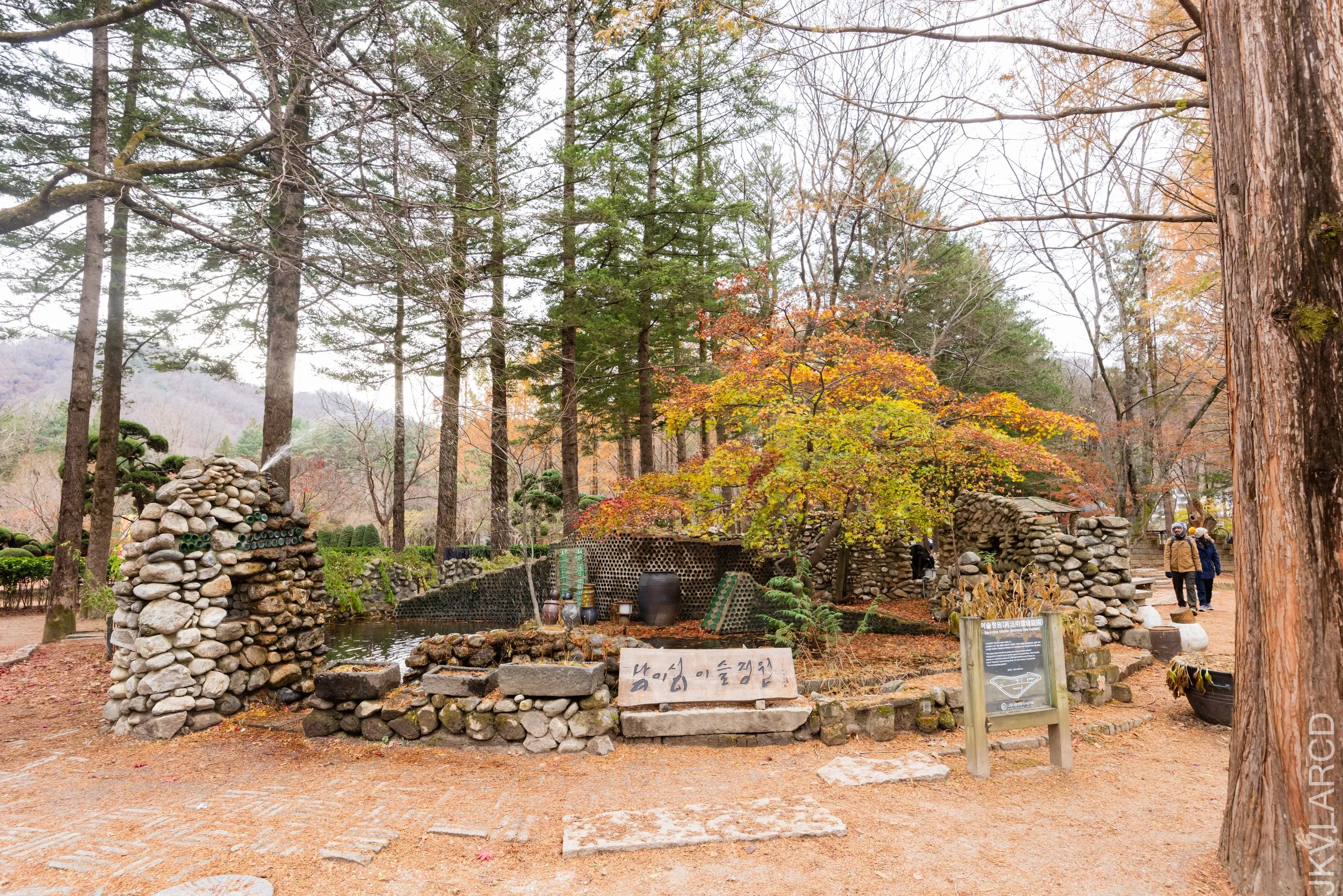 EOS R5_2023_11_17_0052.jpg