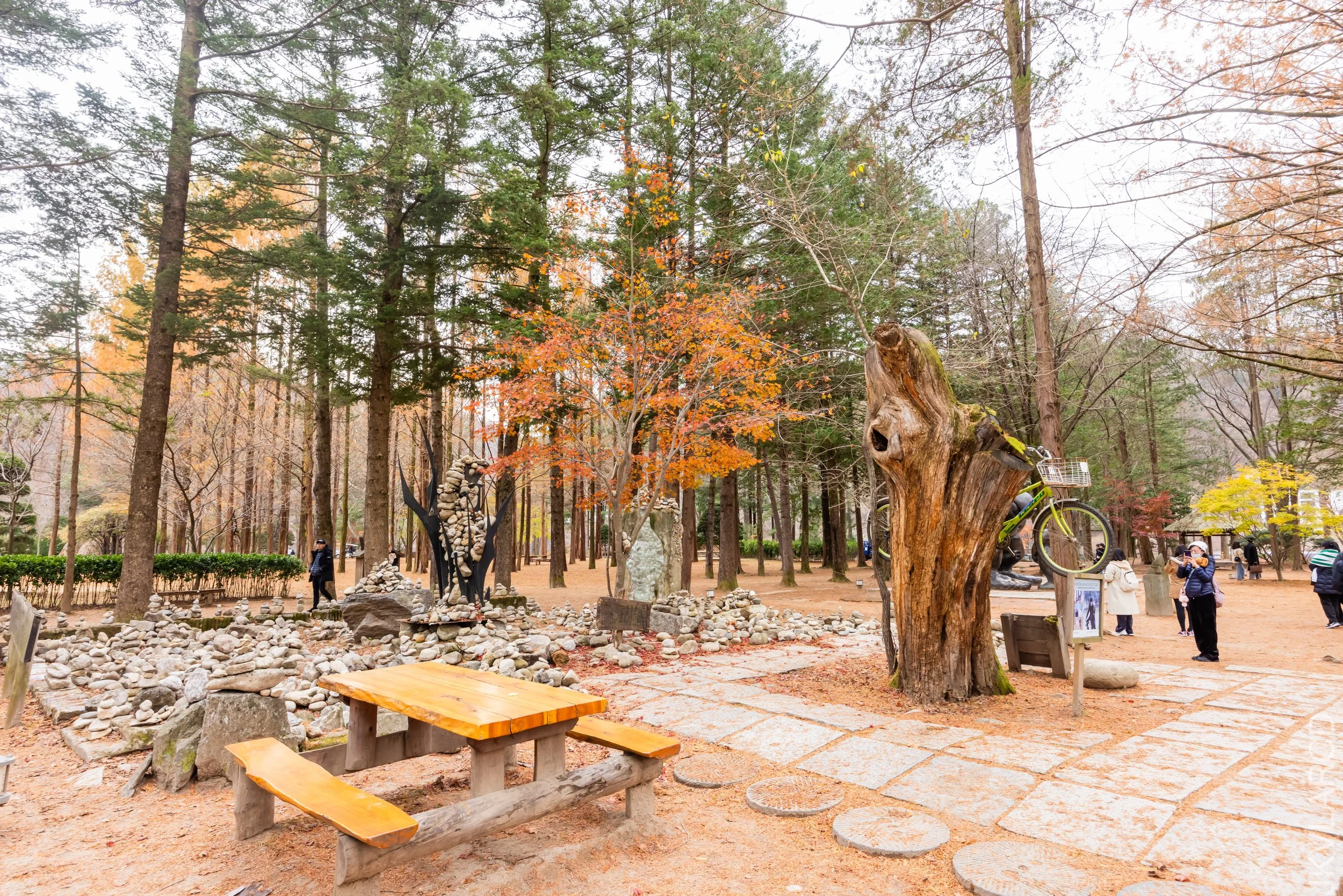 EOS R5_2023_11_17_0059.jpg