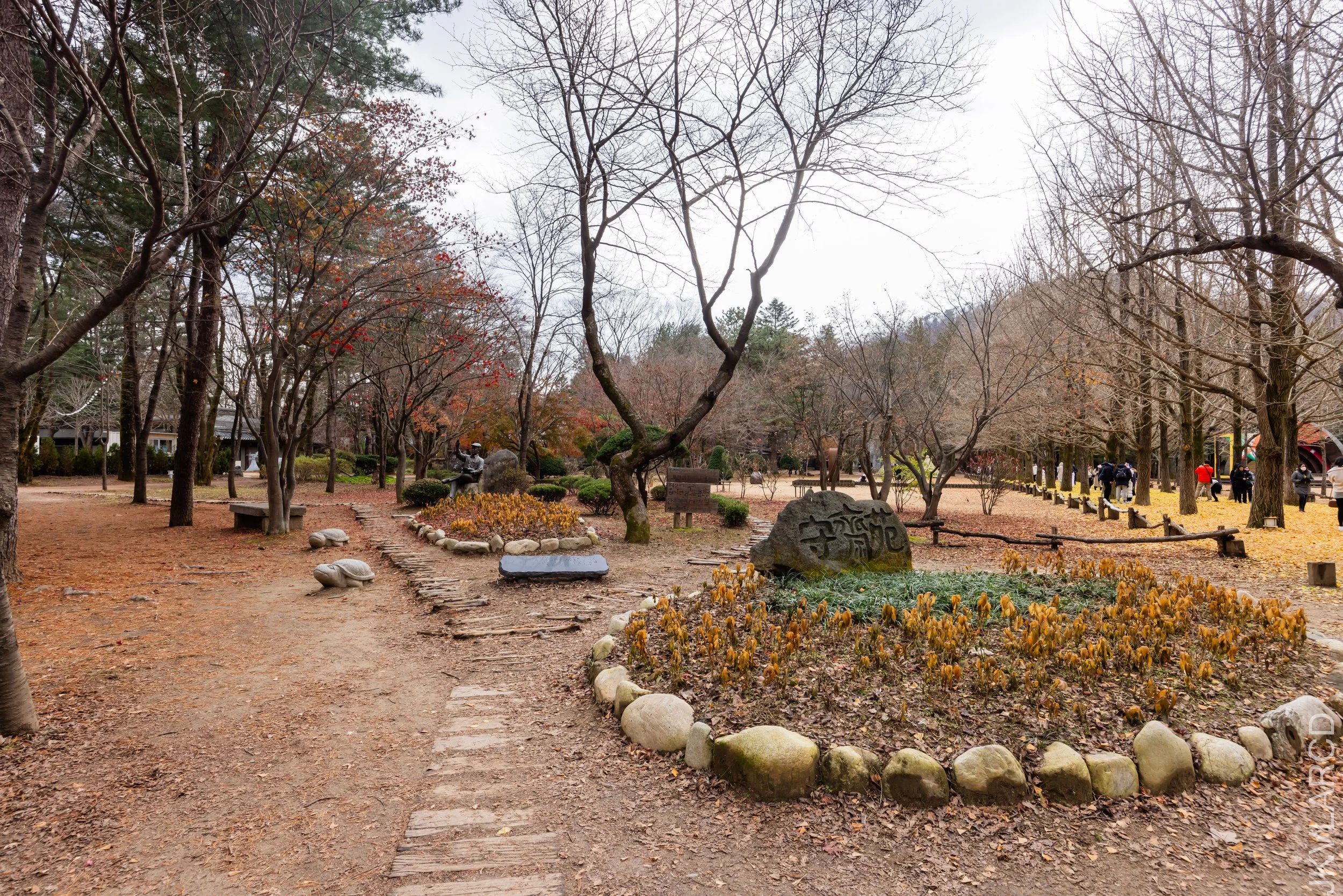 EOS R5_2023_11_17_0078.jpg