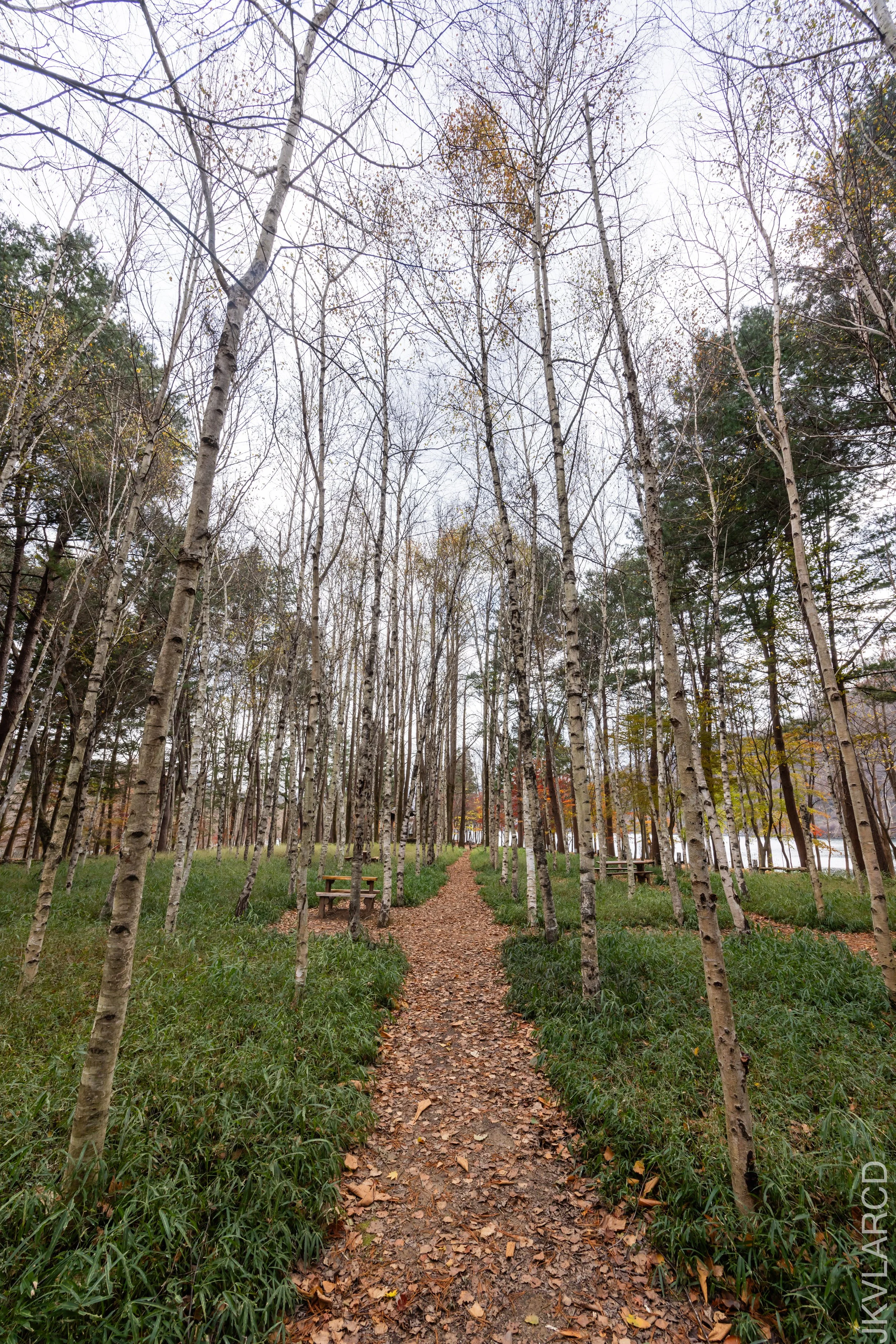 EOS R5_2023_11_17_0095.jpg