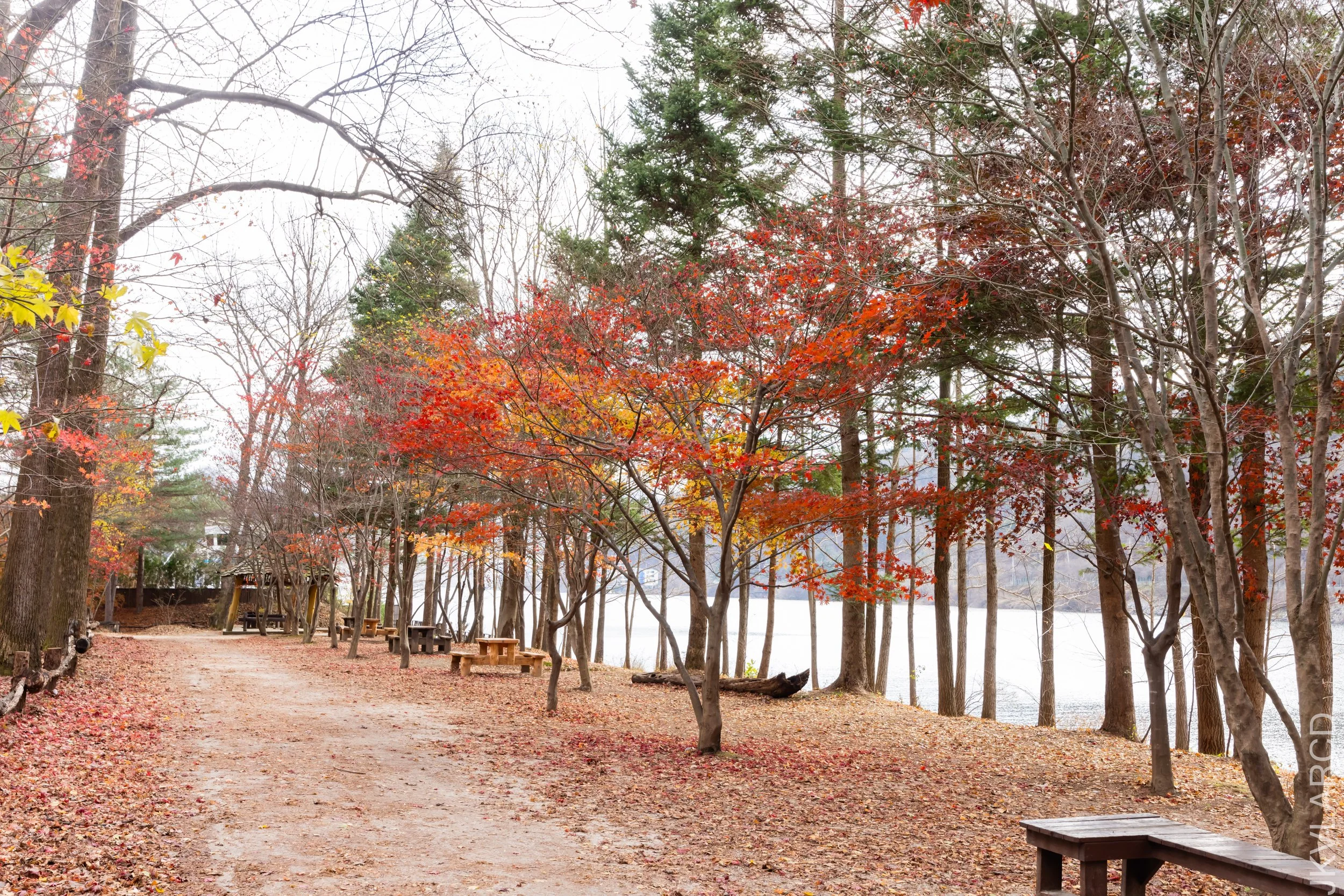 EOS R5_2023_11_17_0097.jpg