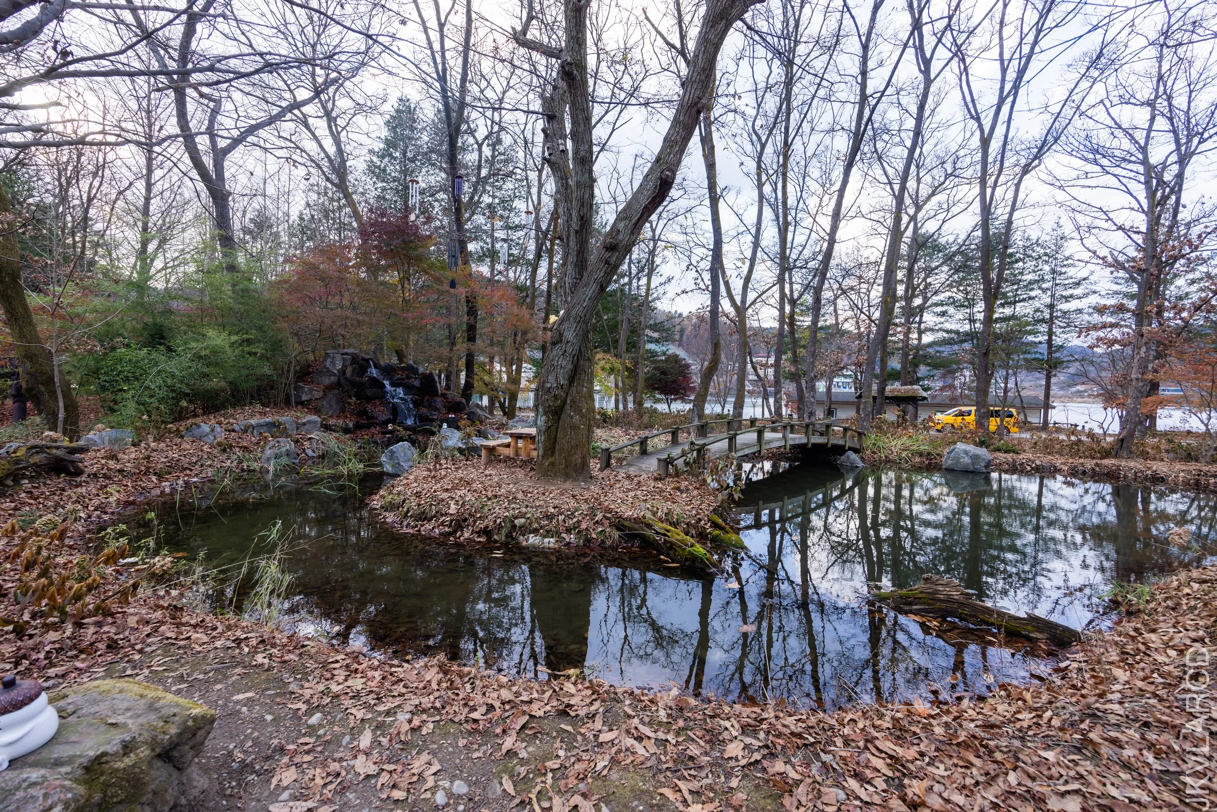 EOS R5_2023_11_17_0217.jpg