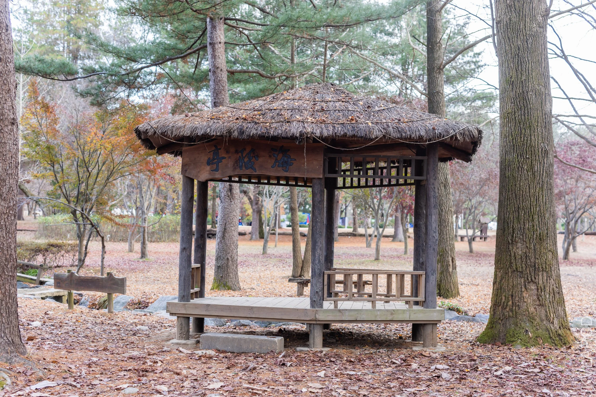 EOS R5_2023_11_17_0226.jpg