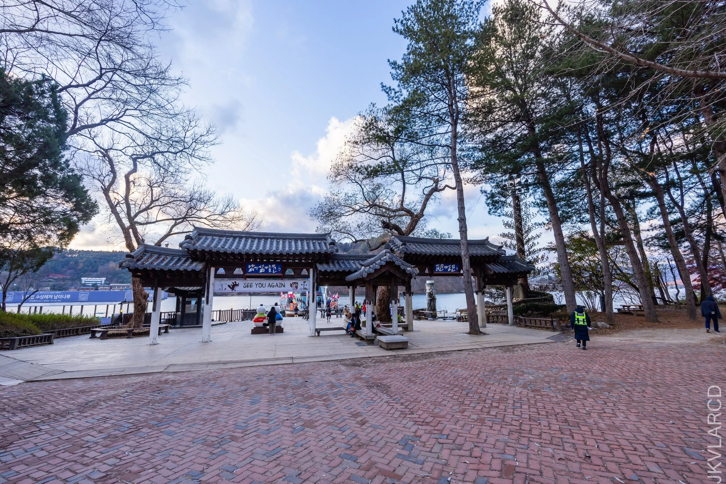 EOS R5_2023_11_17_0245.jpg