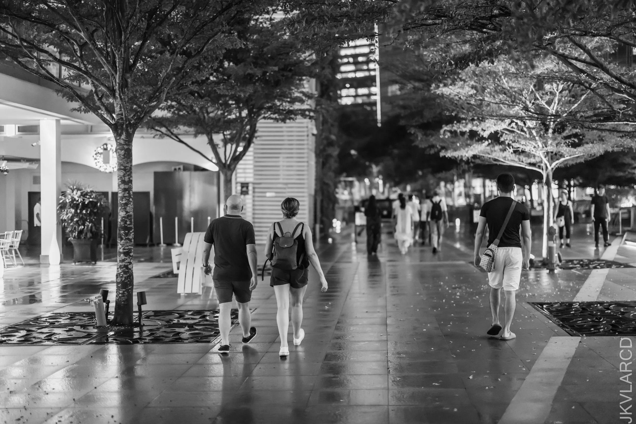 EOS R5_2023_11_25_0257.jpg