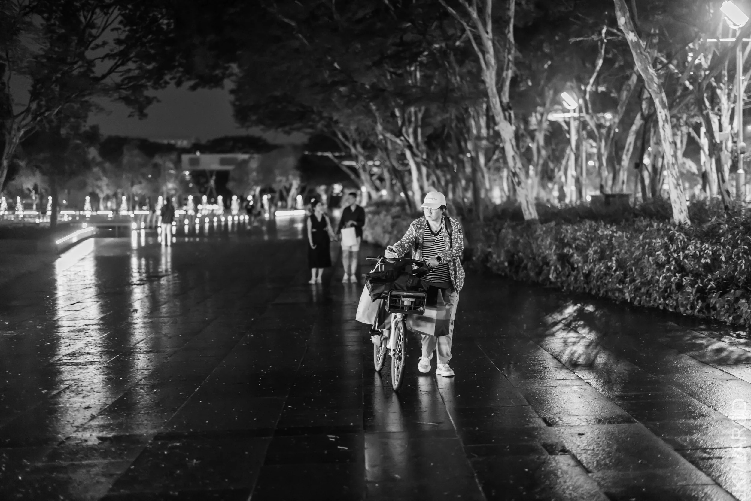 EOS R5_2023_11_25_0267.jpg
