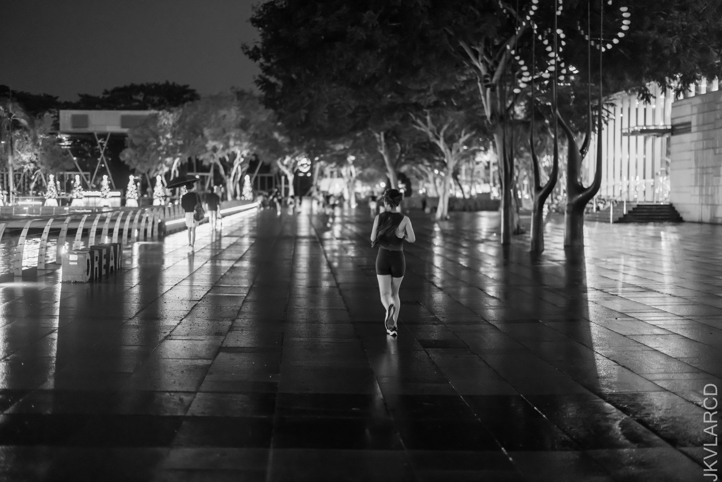 EOS R5_2023_11_25_0272.jpg