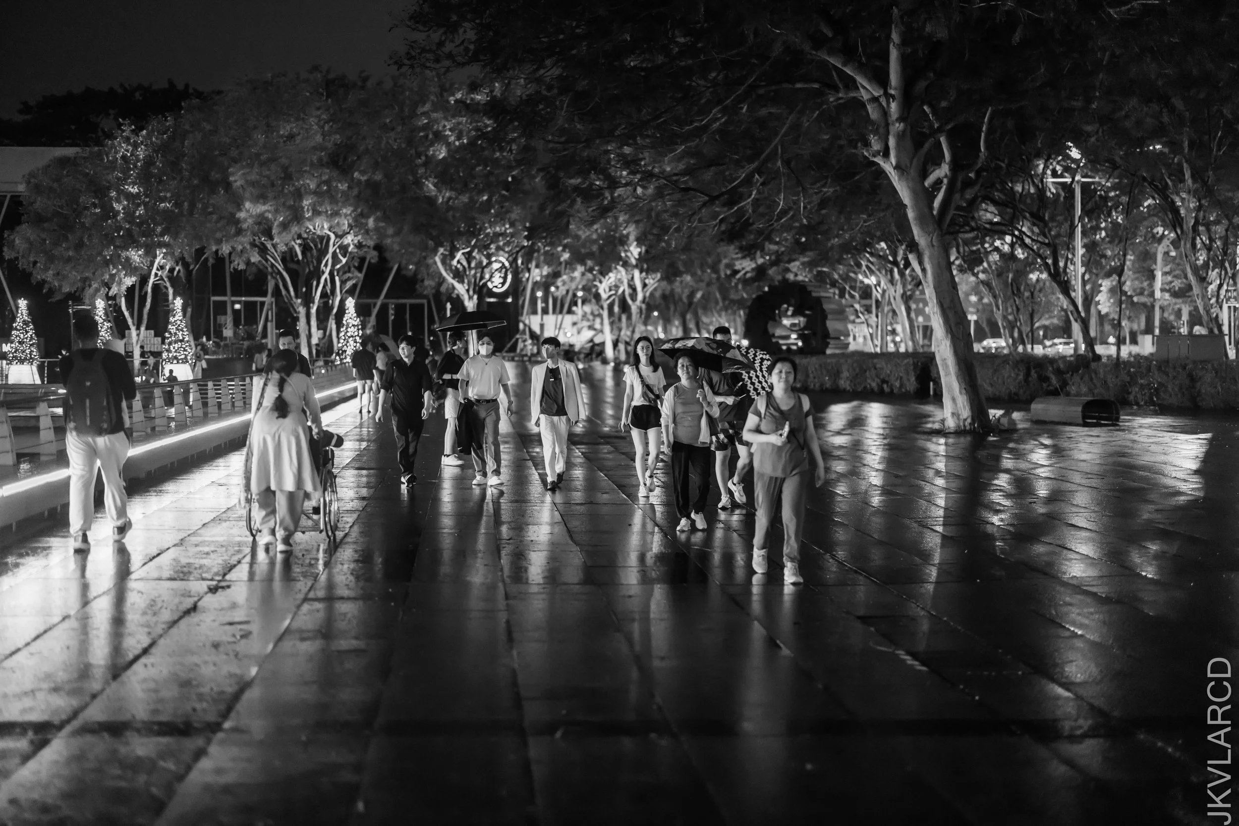 EOS R5_2023_11_25_0273.jpg