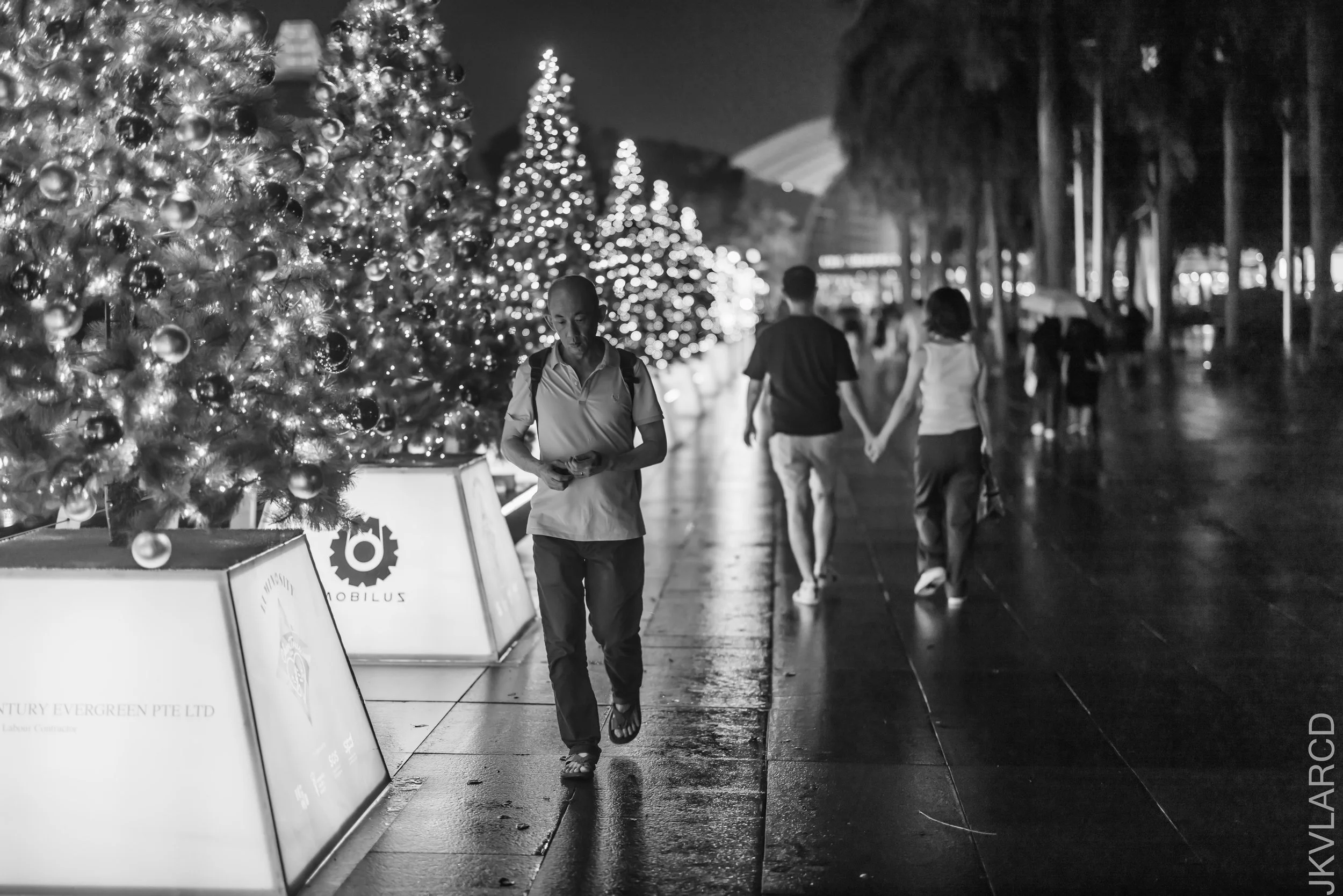 EOS R5_2023_11_25_0282.jpg