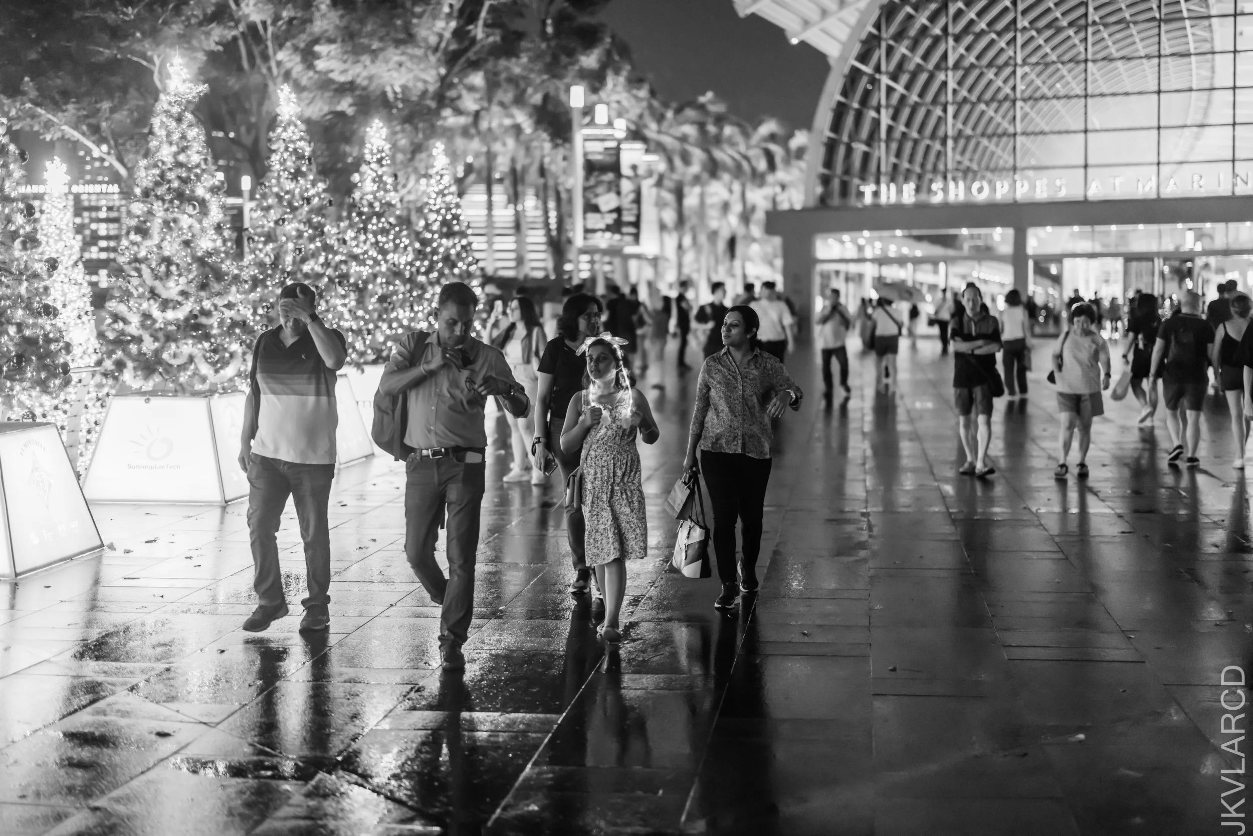 EOS R5_2023_11_25_0289.jpg
