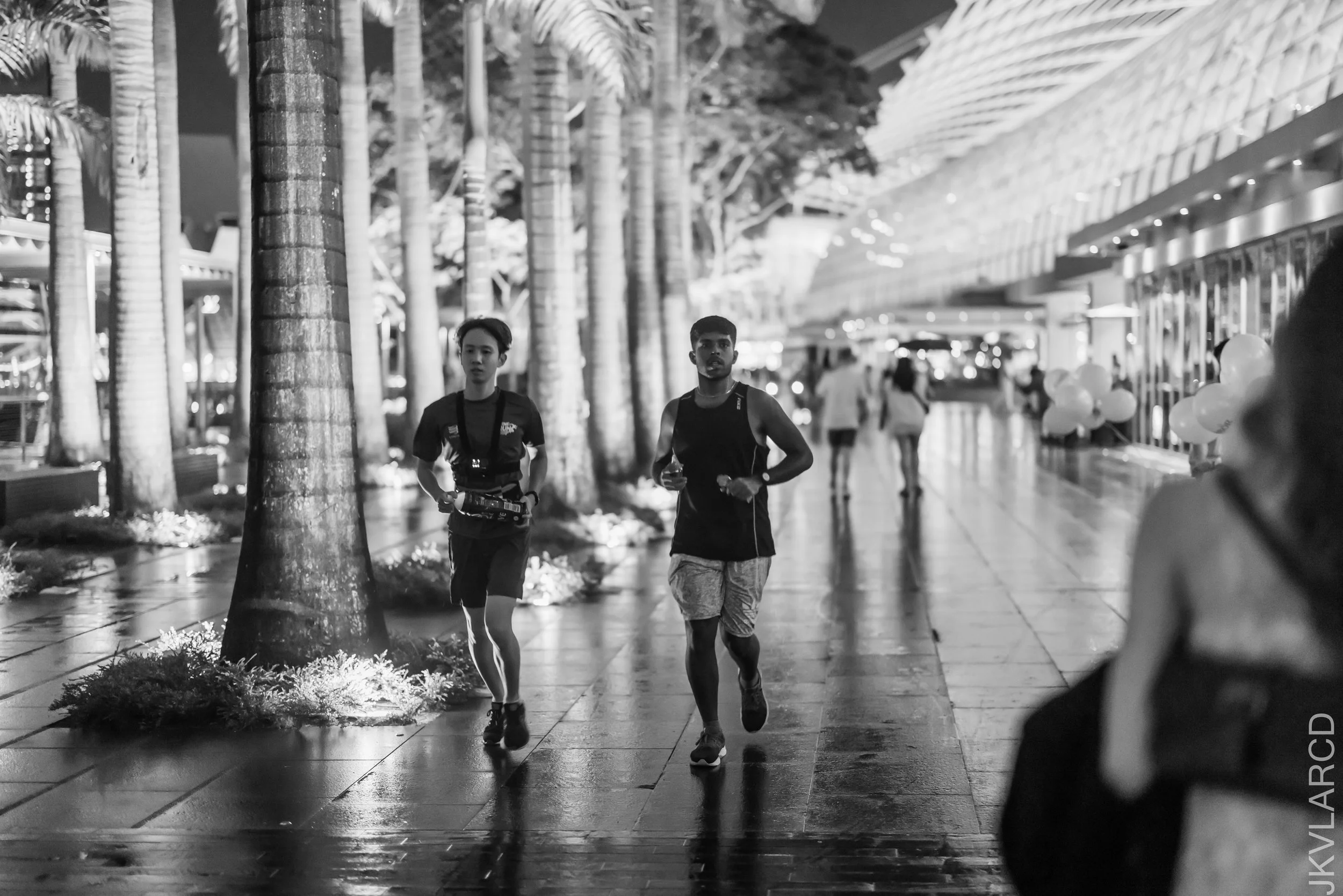 EOS R5_2023_11_25_0298.jpg