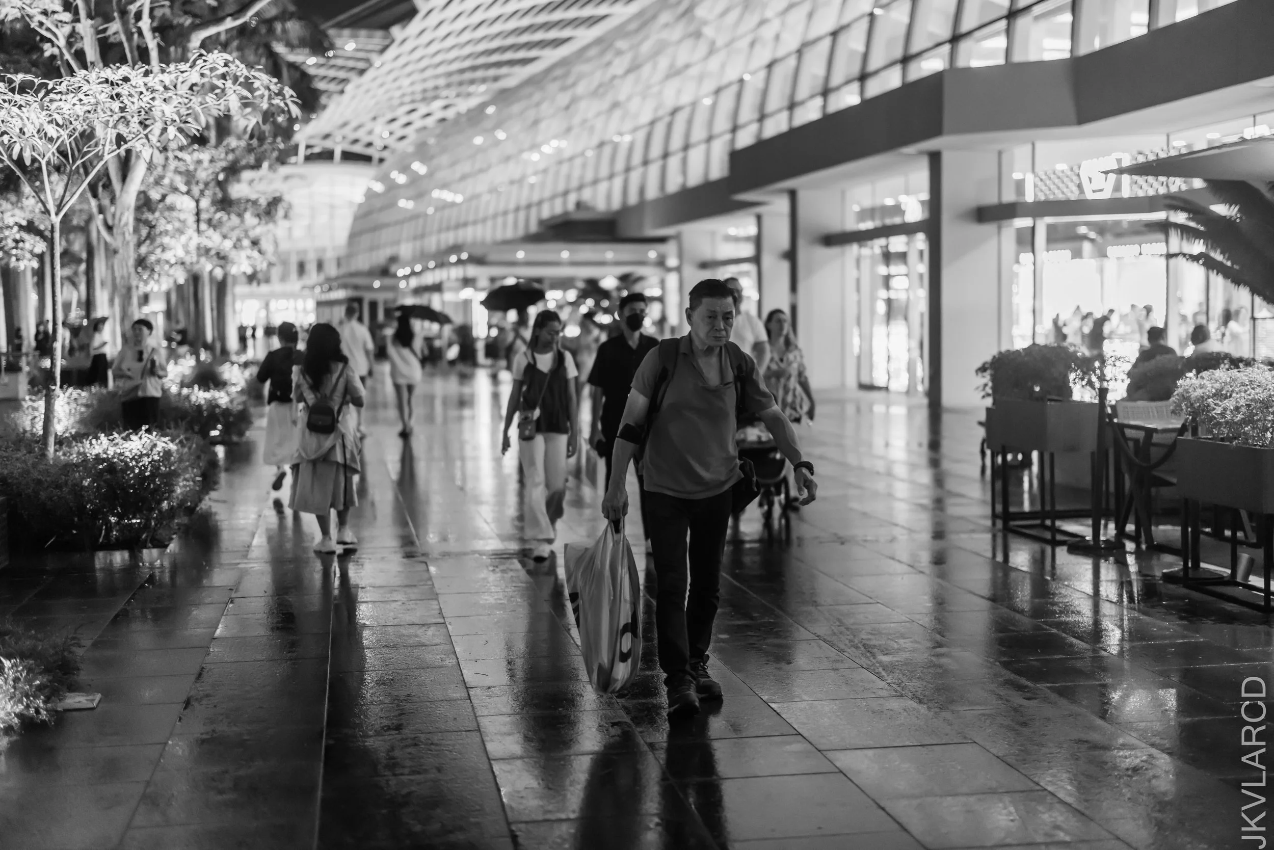 EOS R5_2023_11_25_0299.jpg