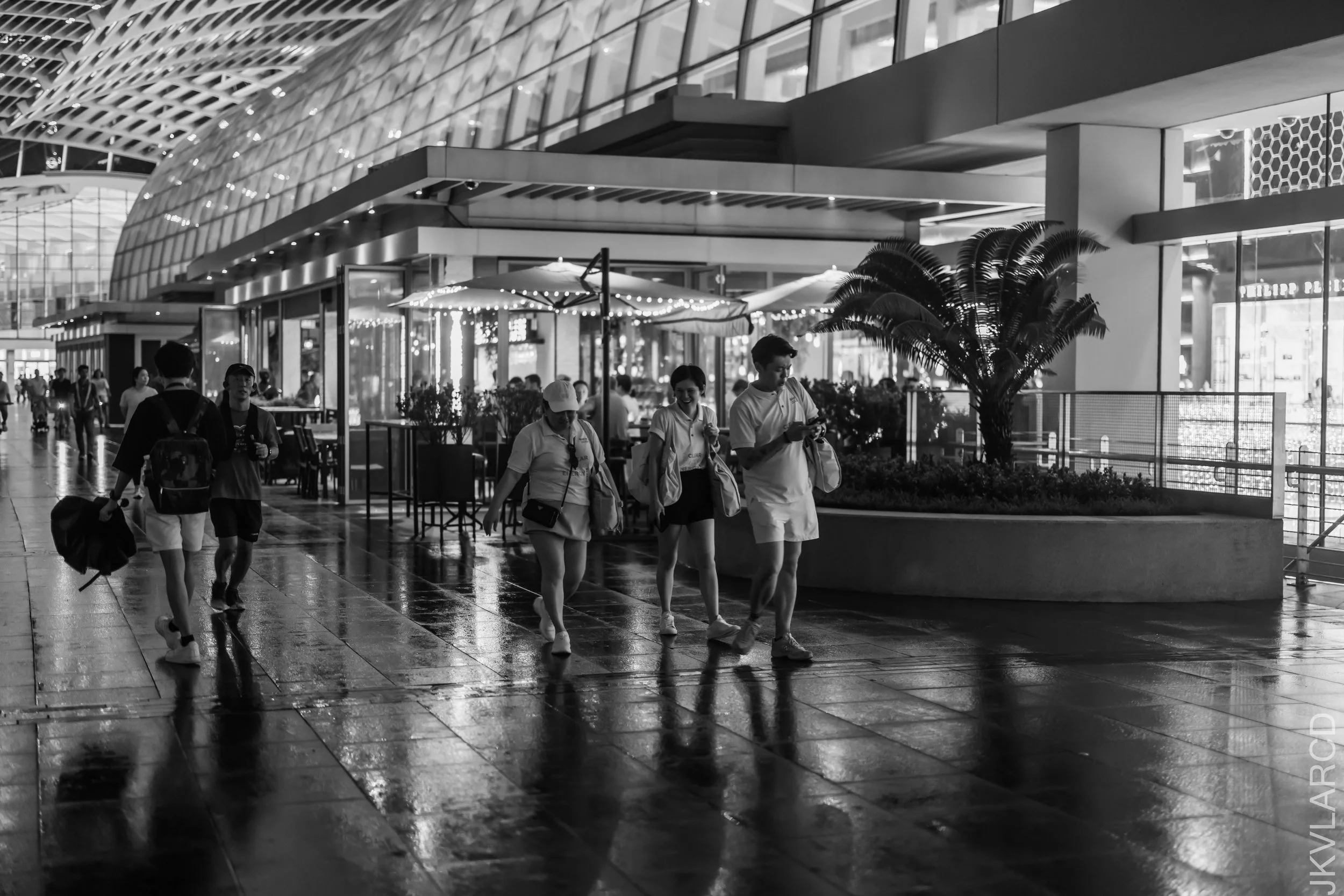 EOS R5_2023_11_25_0300.jpg
