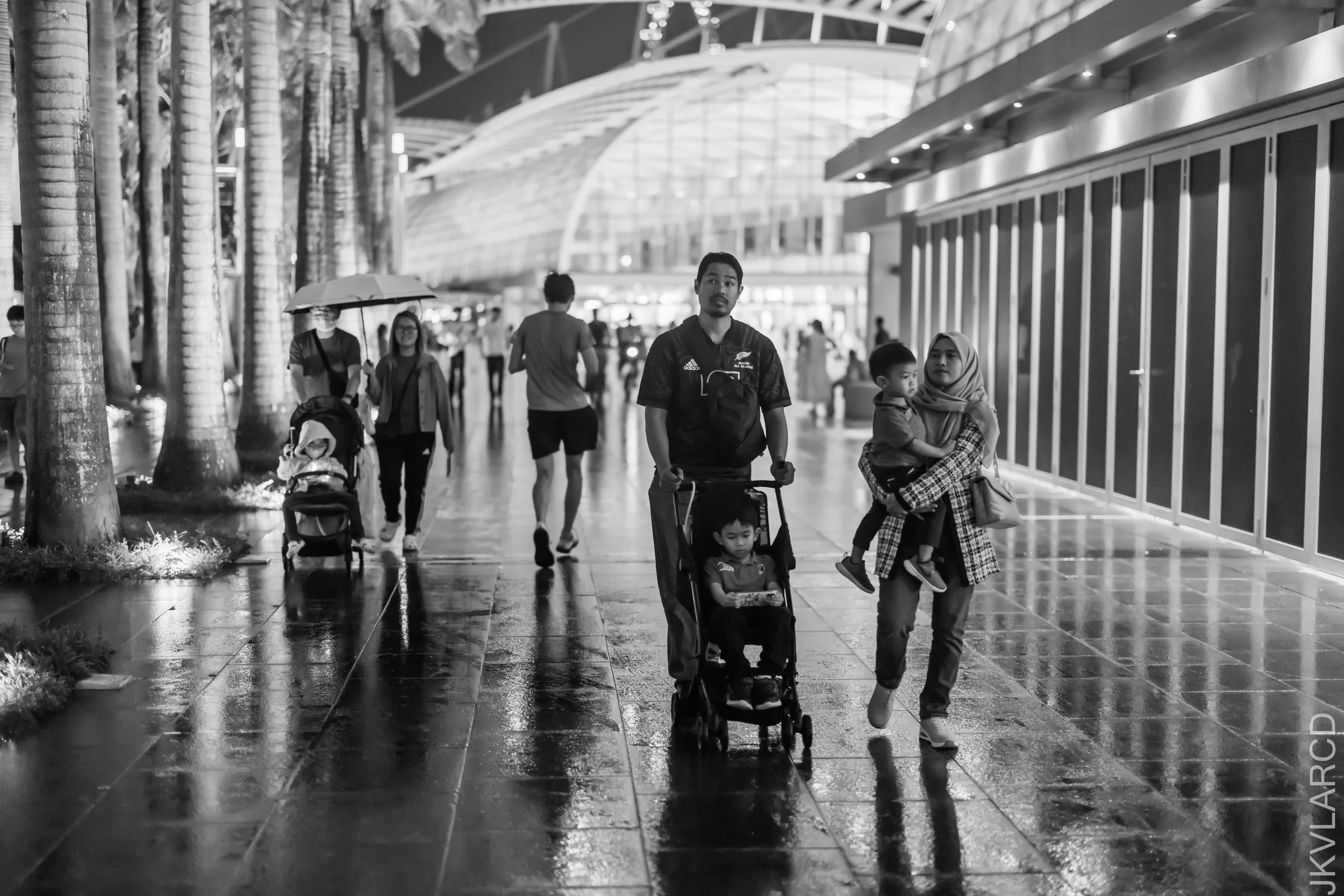EOS R5_2023_11_25_0304.jpg