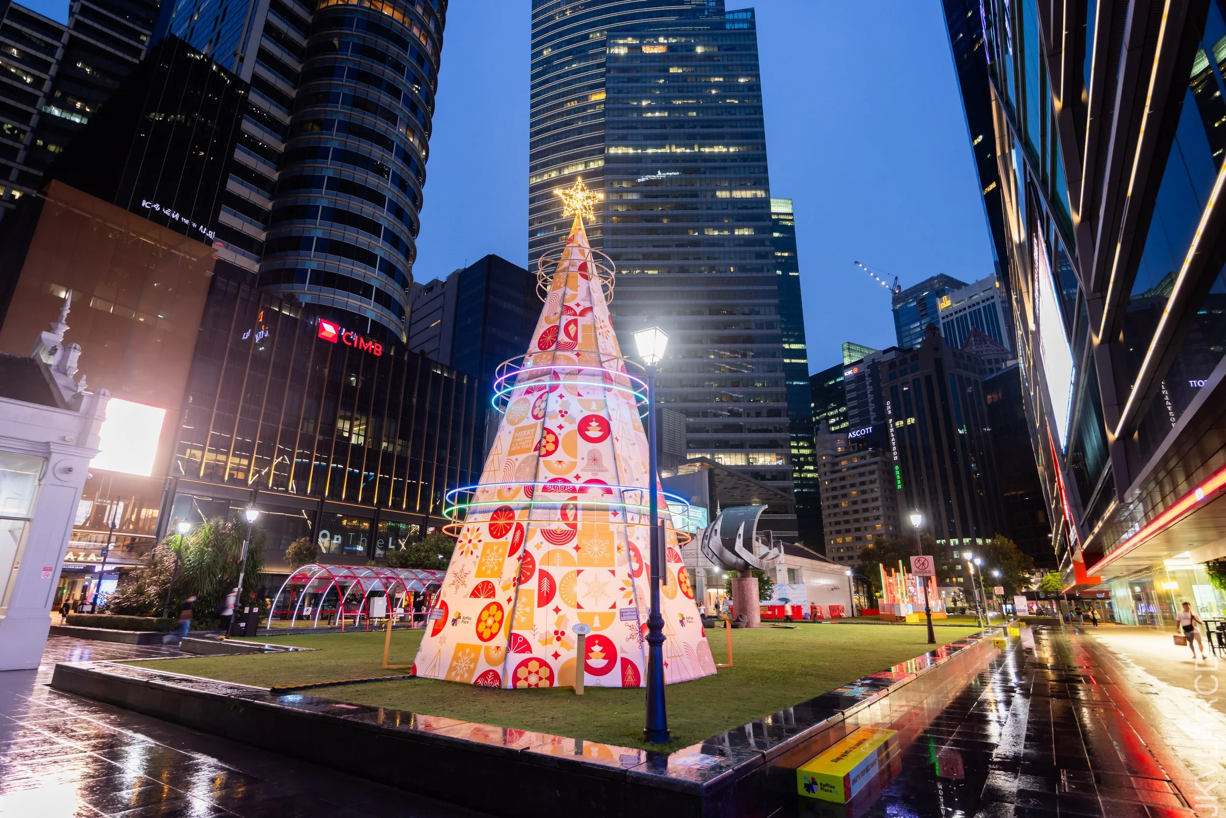 EOS R5_2023_11_25_0252.jpg