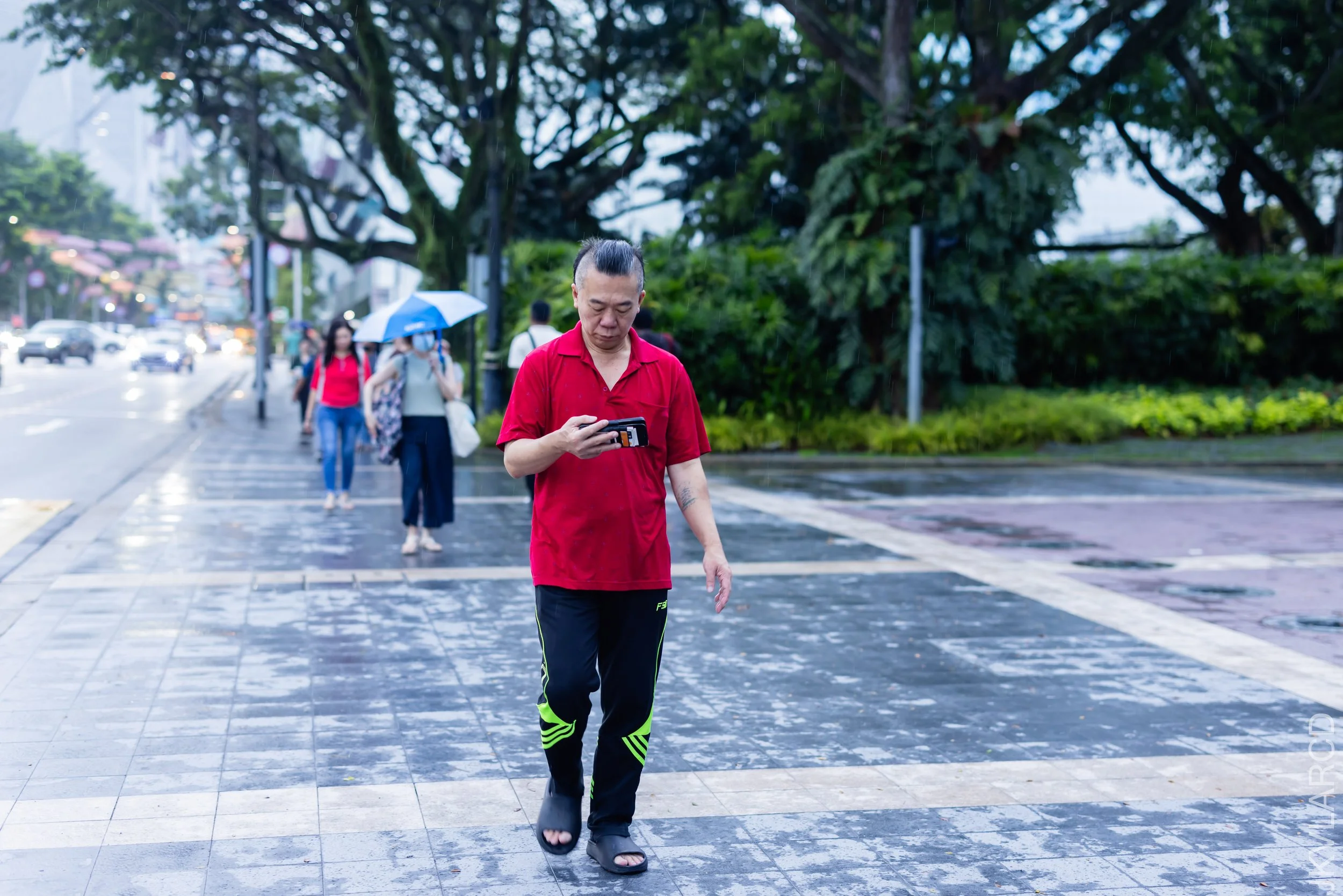 EOS R5_2023_12_16_0372.jpg