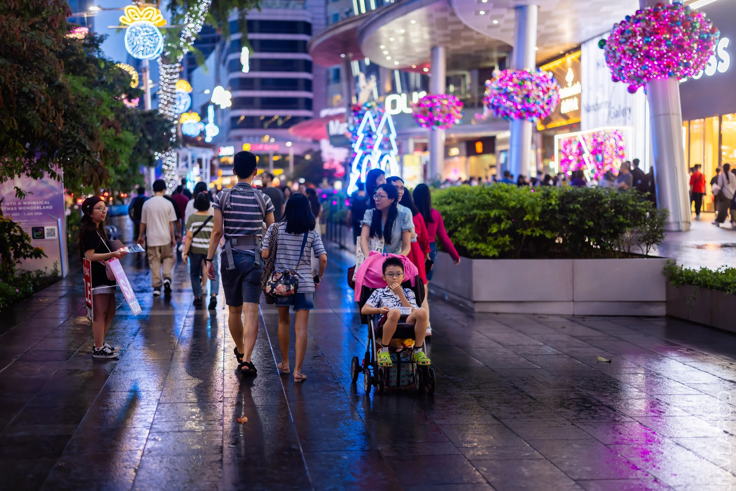 EOS R5_2023_12_16_0479.jpg