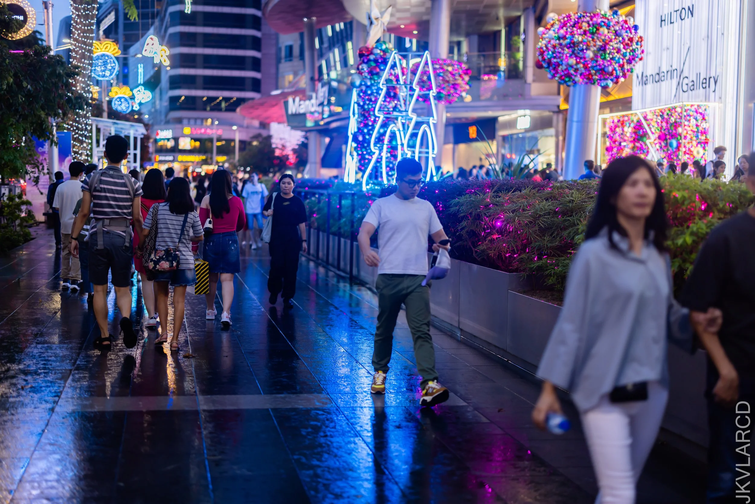 EOS R5_2023_12_16_0480.jpg