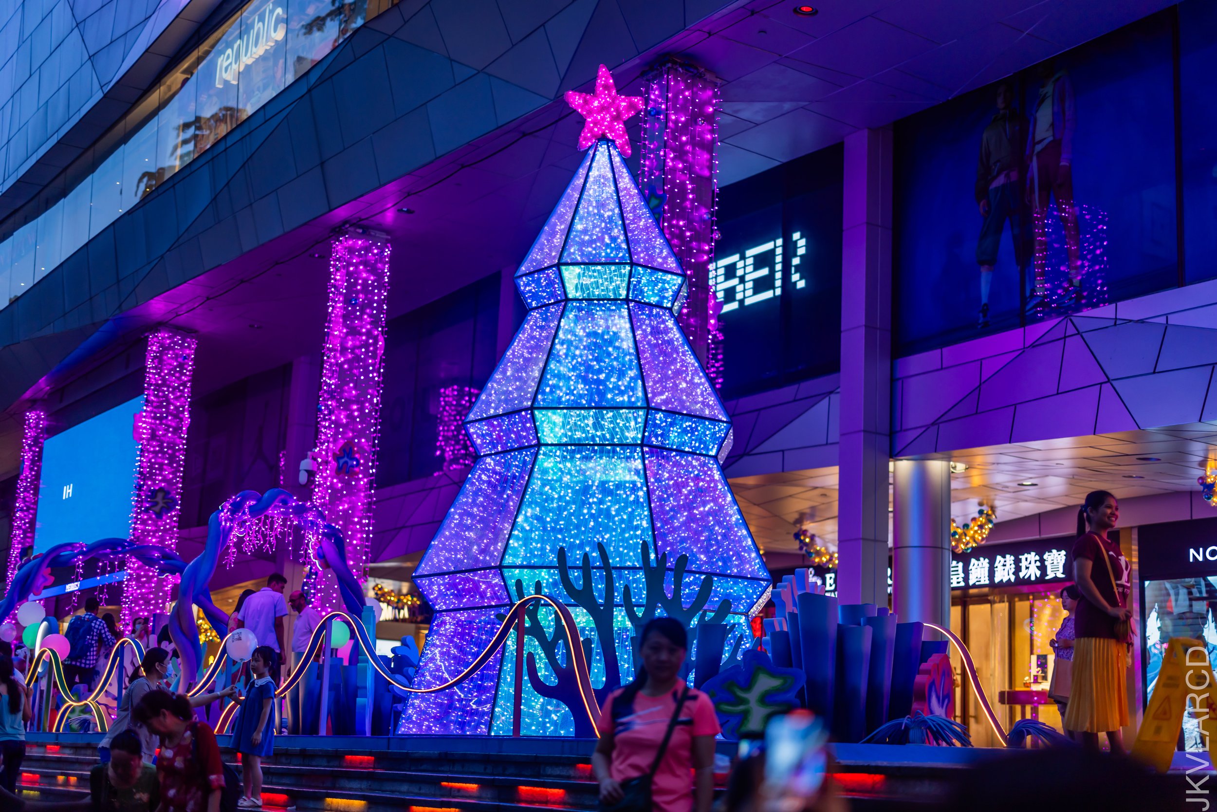 EOS R5_2023_12_16_0445.jpg