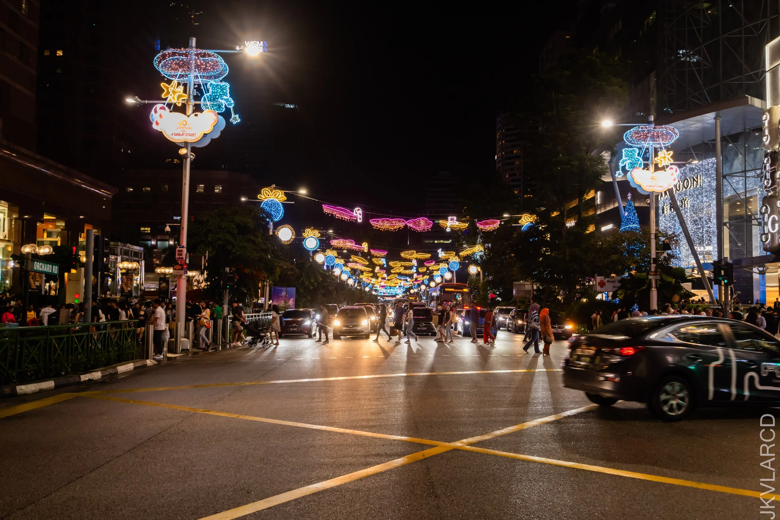 EOS R5_2023_12_16_0540.jpg