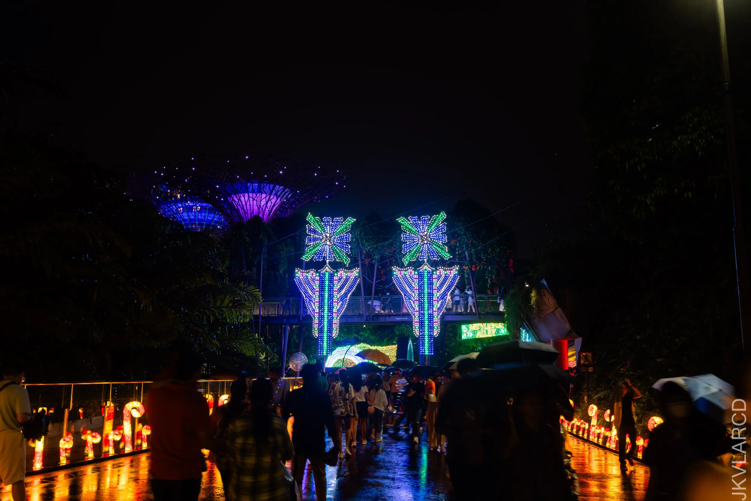 EOS R5_2023_12_23_0596.jpg