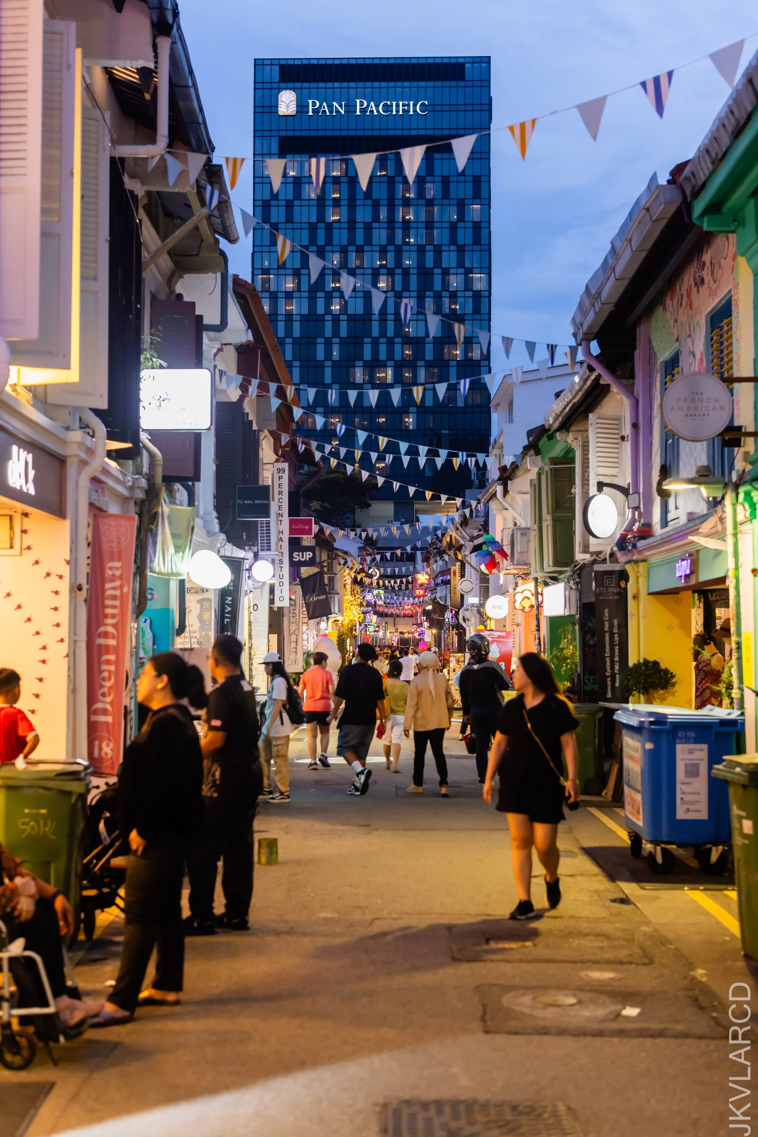 EOS R5_2024_01_06_1055.jpg