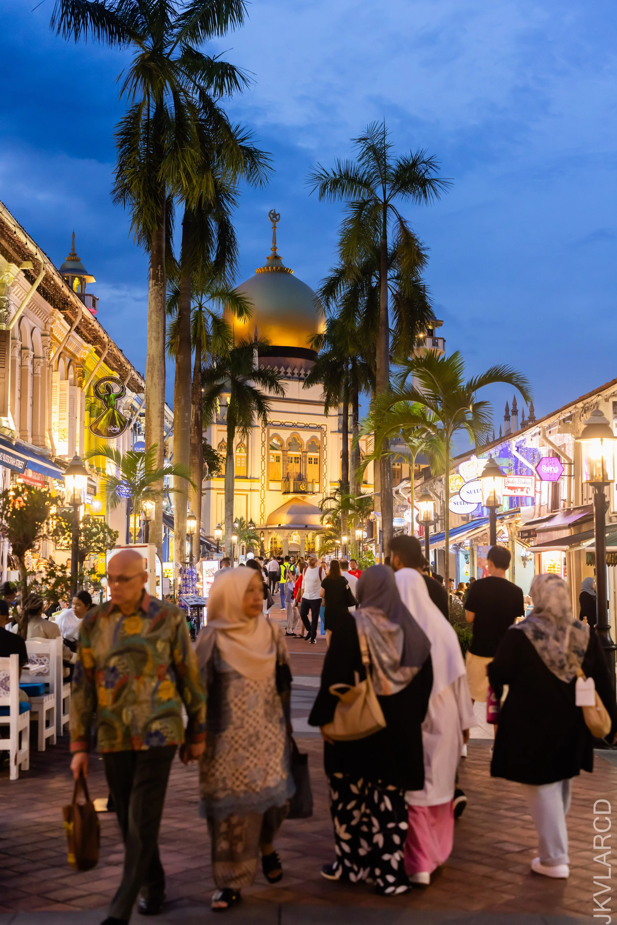 EOS R5_2024_01_06_1074.jpg