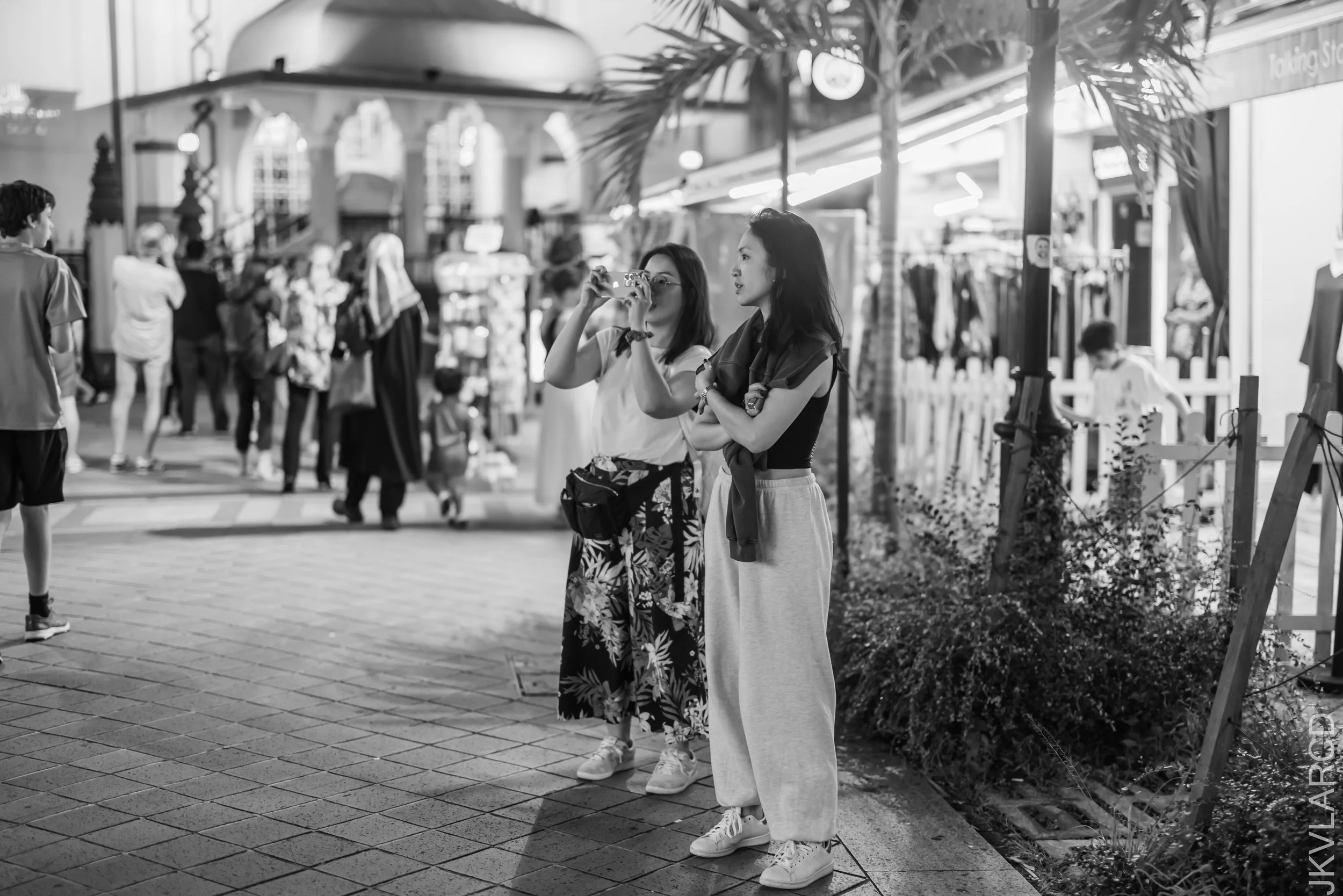 EOS R5_2024_01_06_1085.jpg