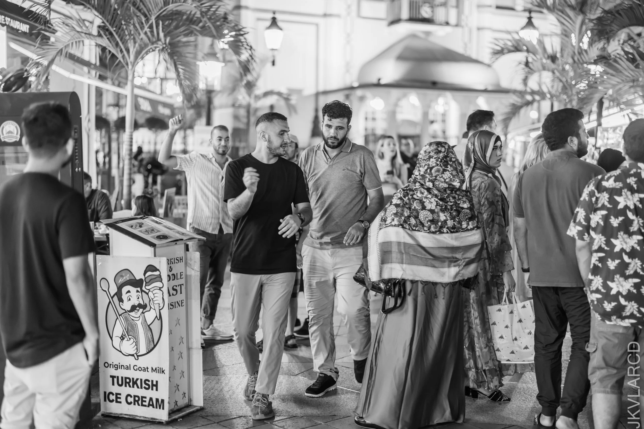 EOS R5_2024_01_06_1216.jpg