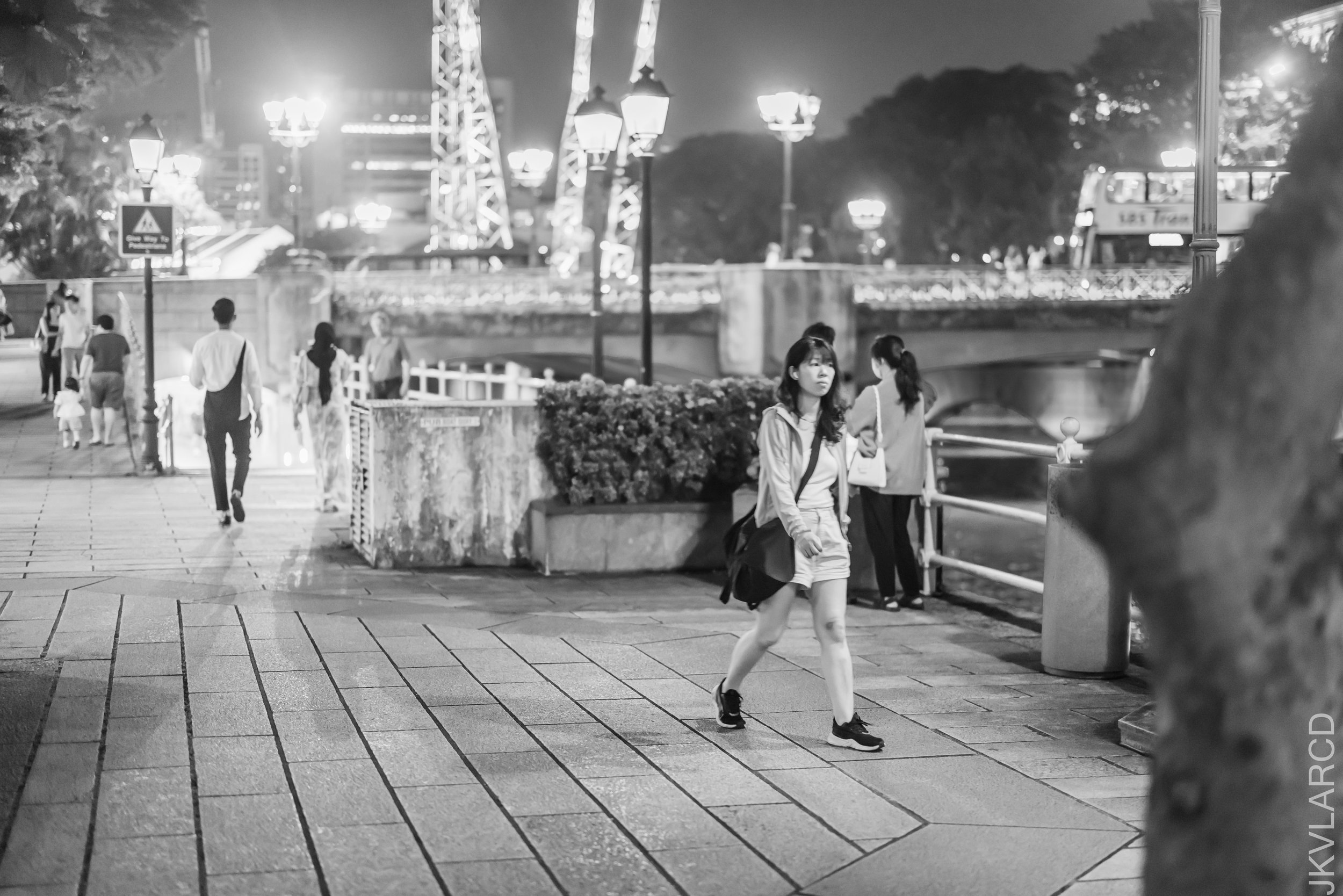 EOS R5_2024_01_13_1350.jpg