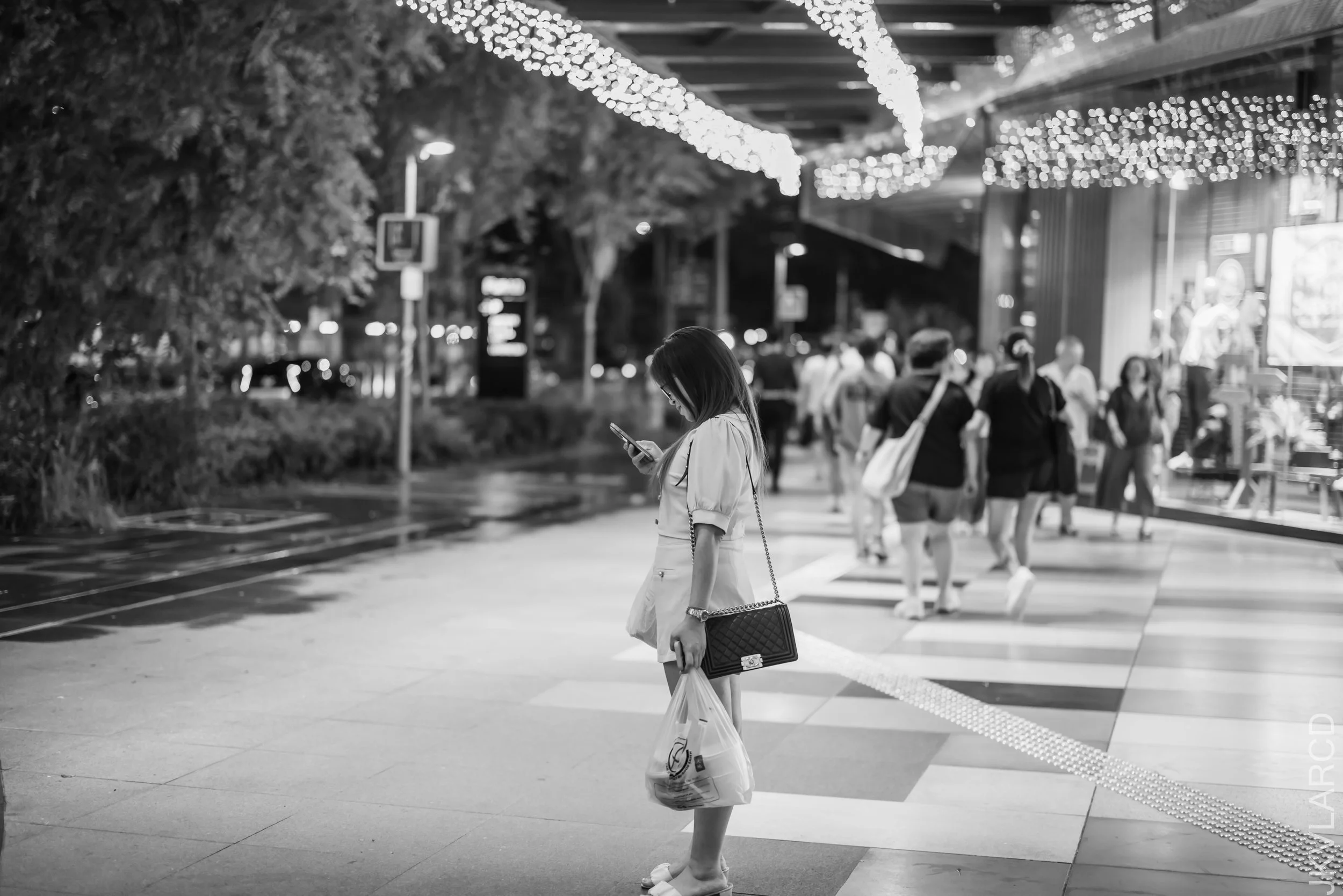 EOS R5_2024_02_03_2073.jpg