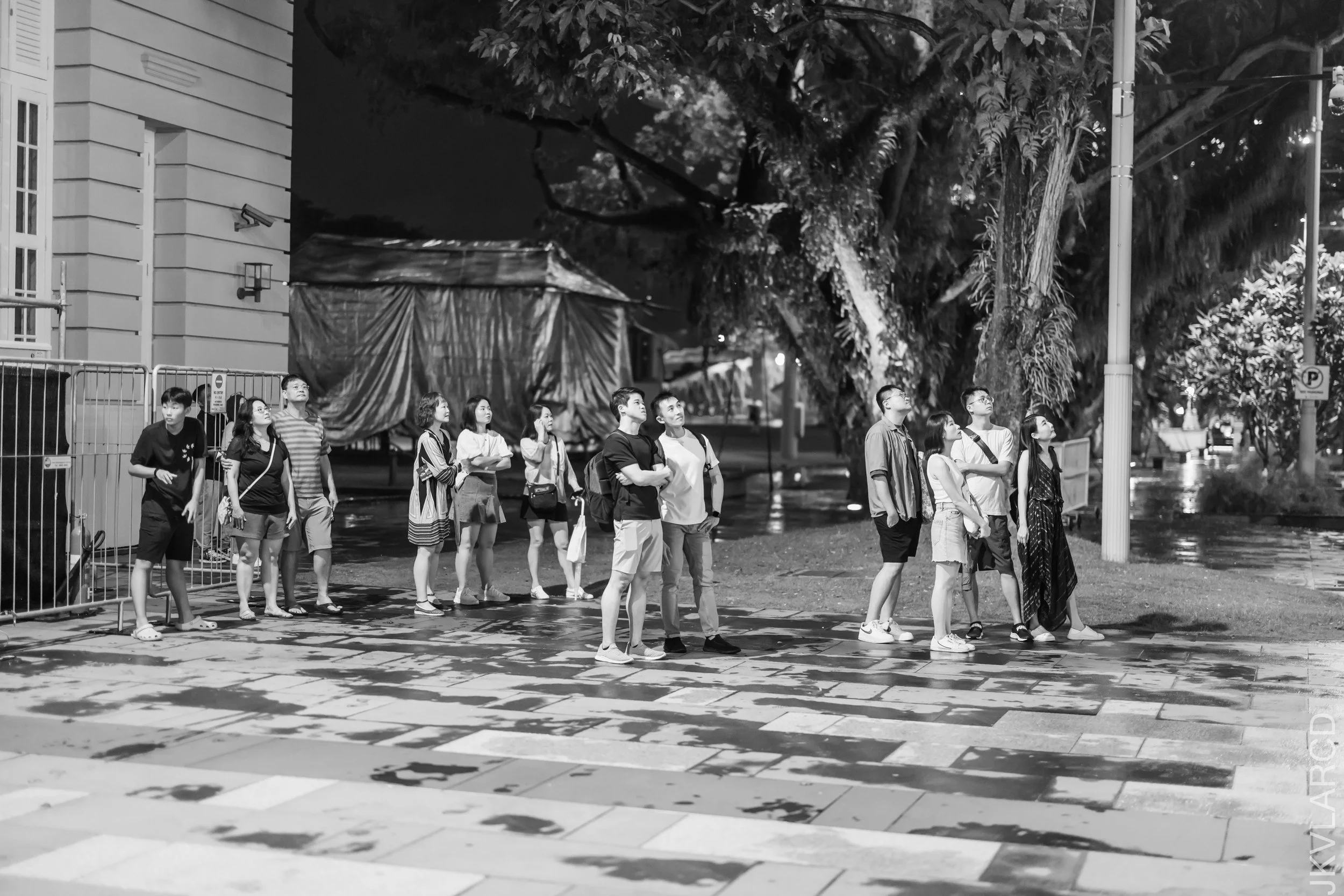 EOS R5_2024_02_03_2132.jpg