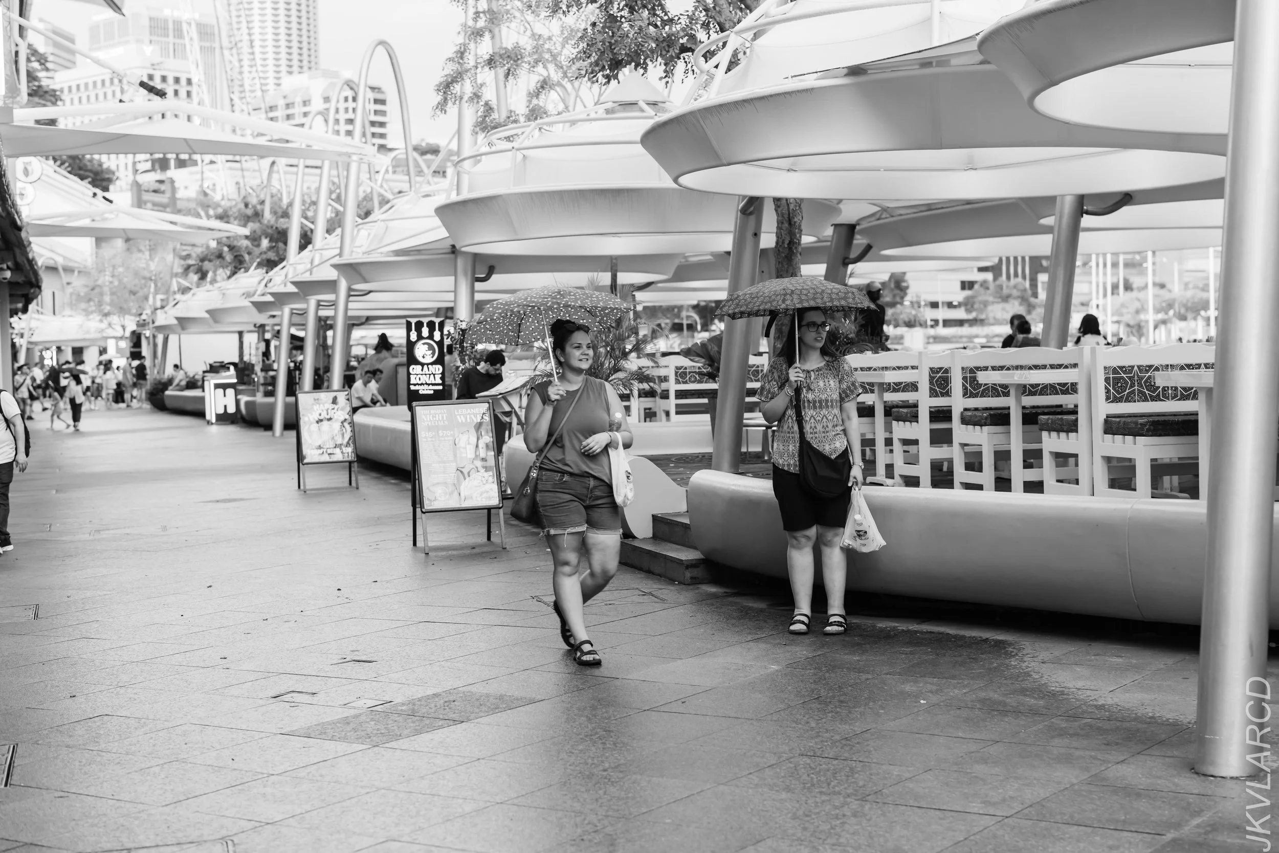 EOS R5_2024_03_02_2215.jpg