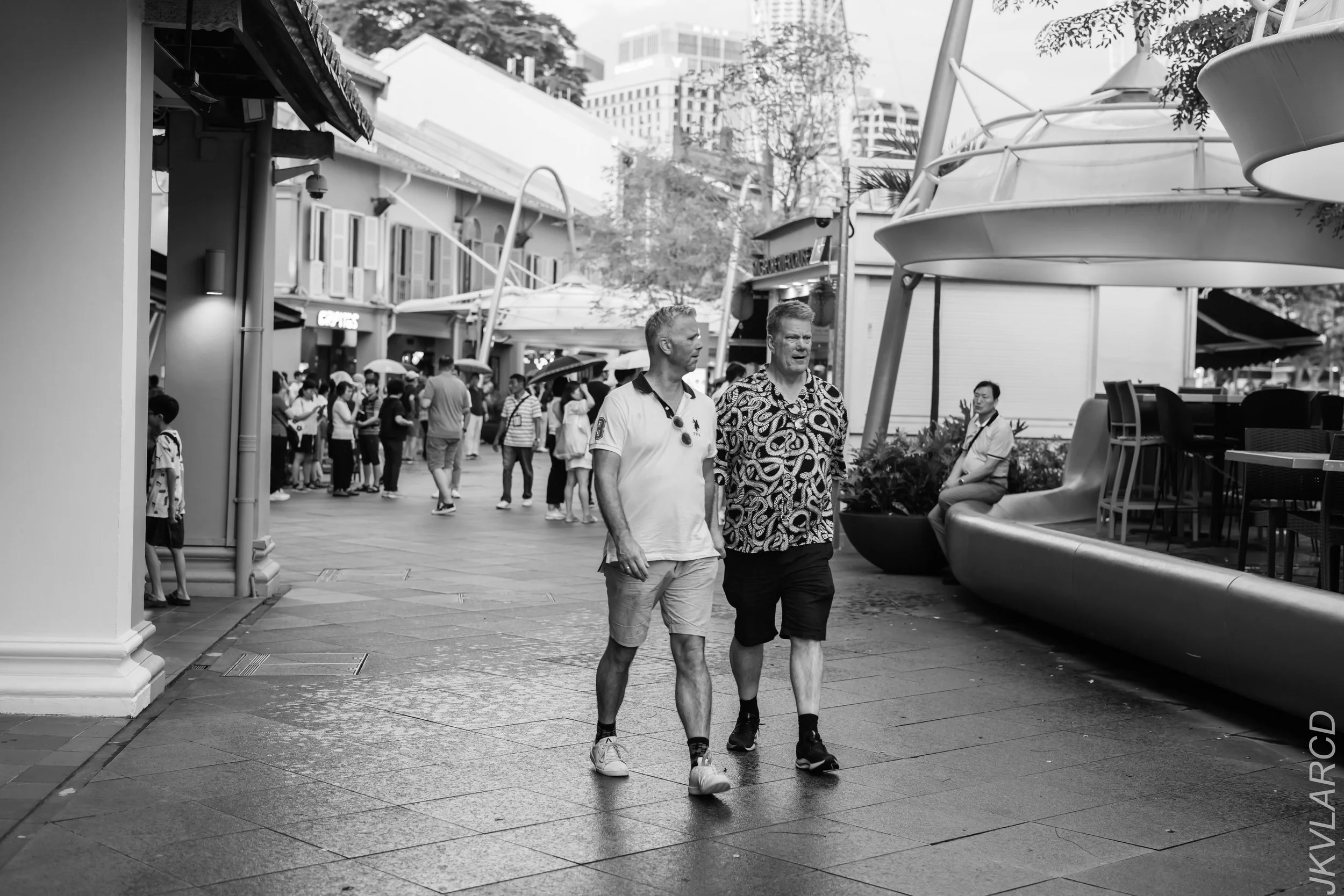 EOS R5_2024_03_02_2220.jpg