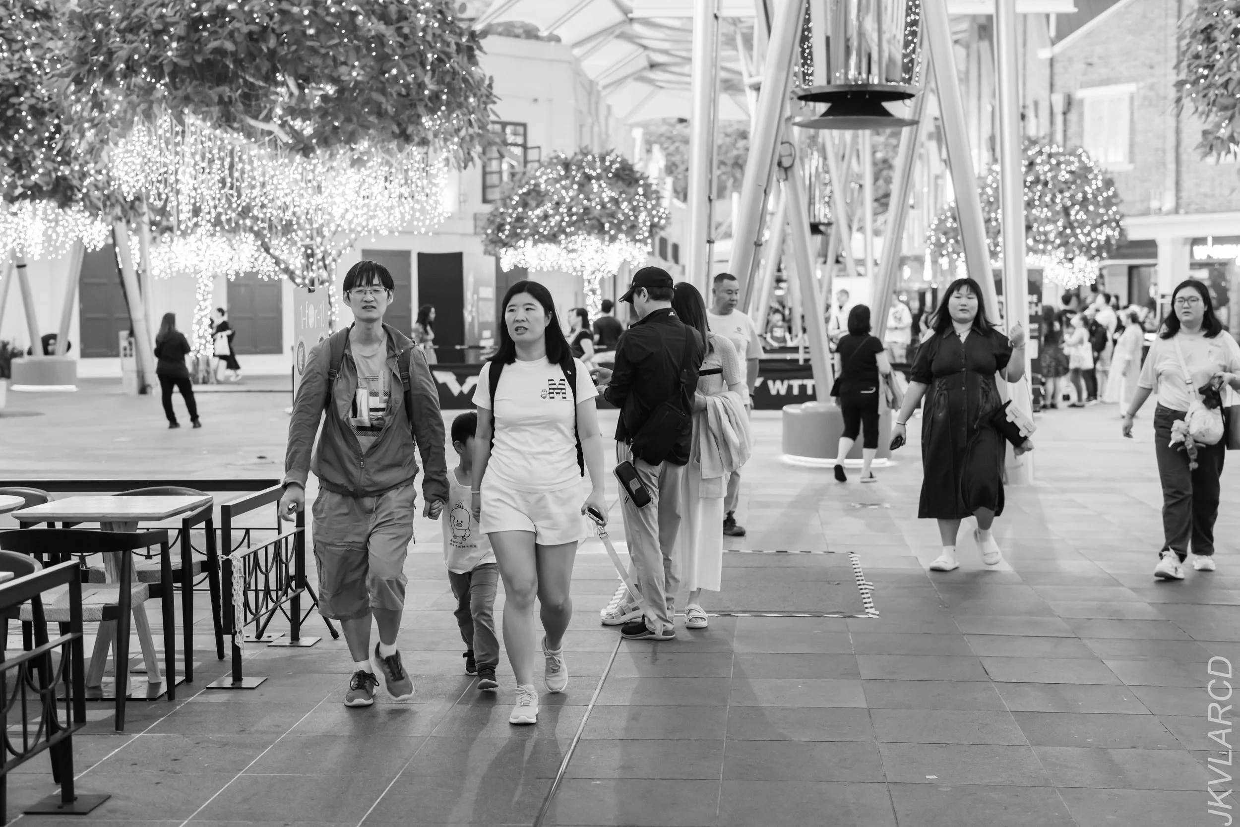 EOS R5_2024_03_02_2253.jpg