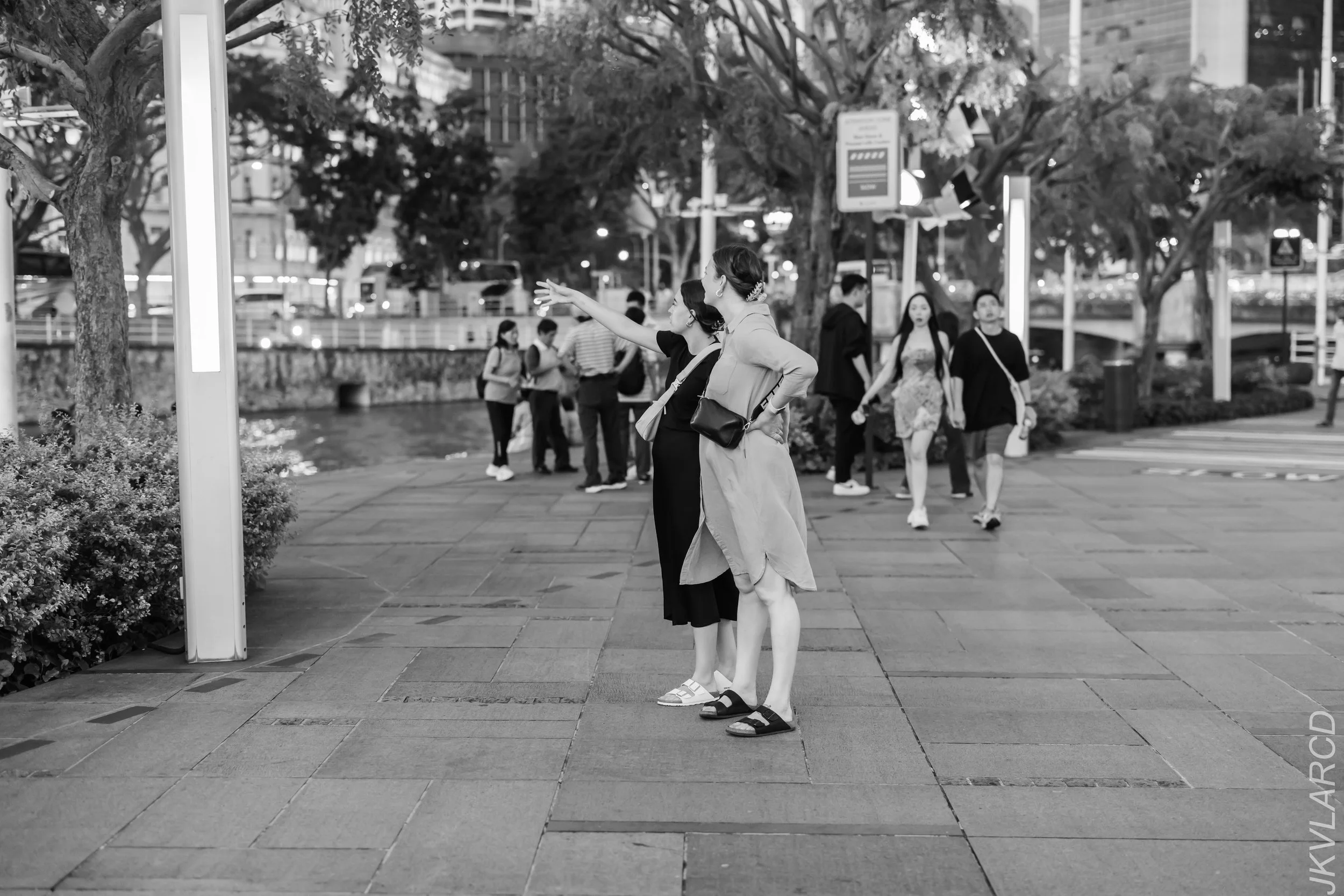 EOS R5_2024_03_02_2303.jpg