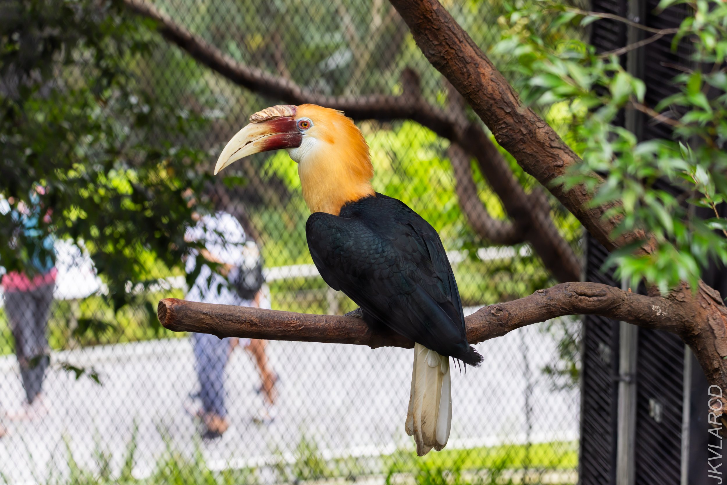 EOS R5_2024_03_10_2440.jpg