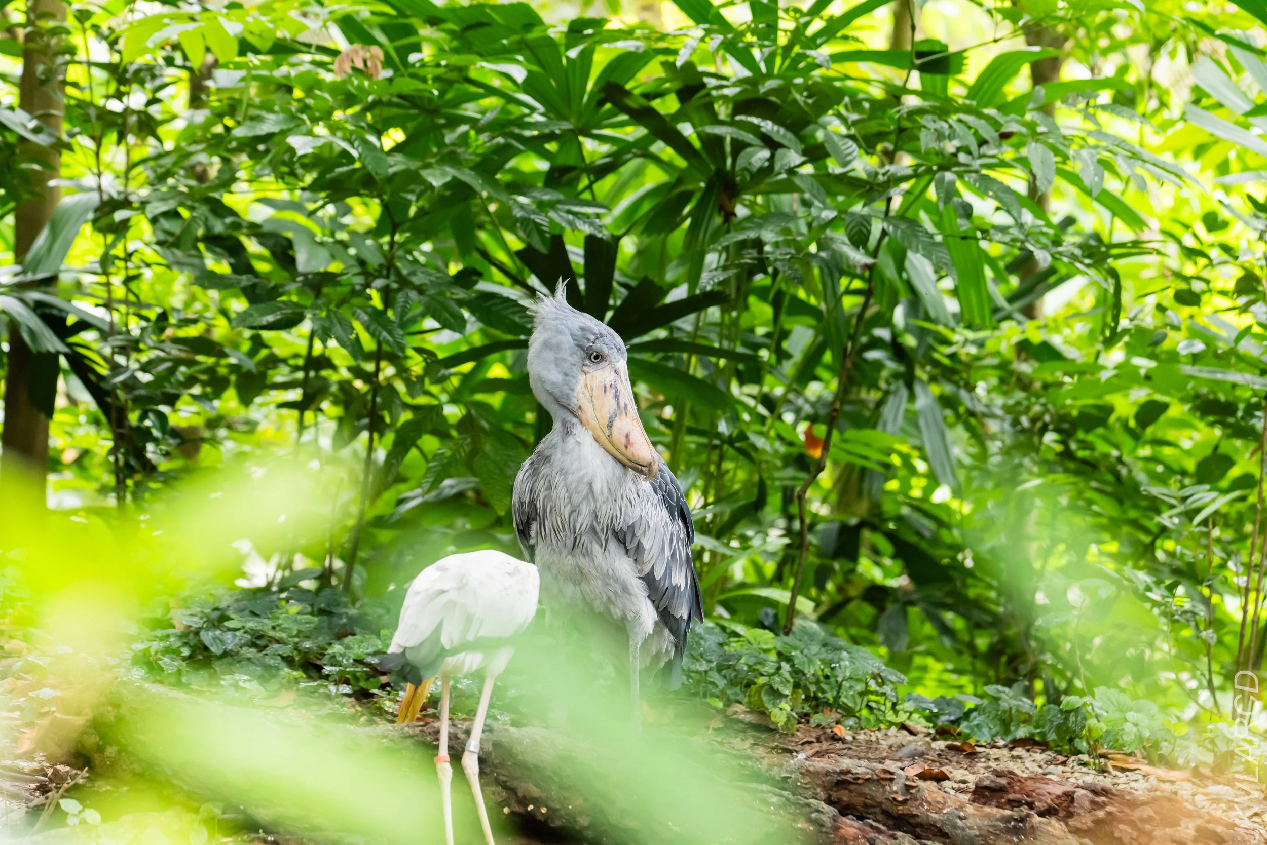 EOS R5_2024_03_10_2542.jpg