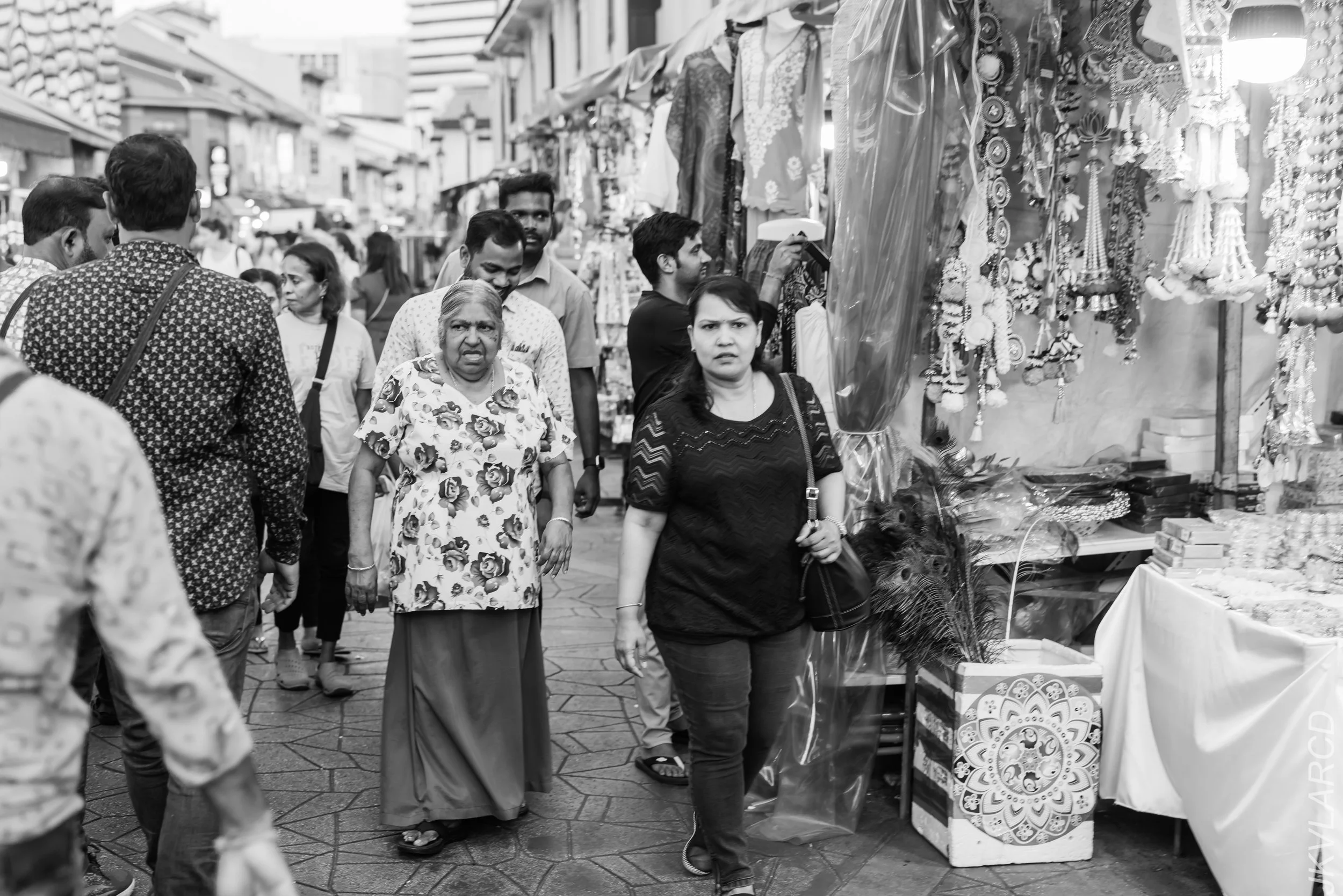 EOS R5_2024_03_23_2906.jpg