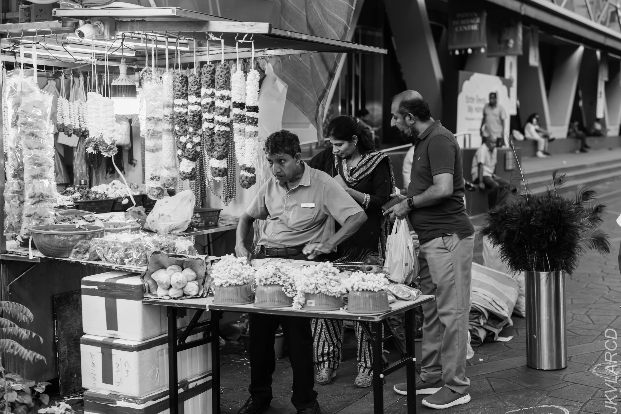 EOS R5_2024_03_23_2909.jpg