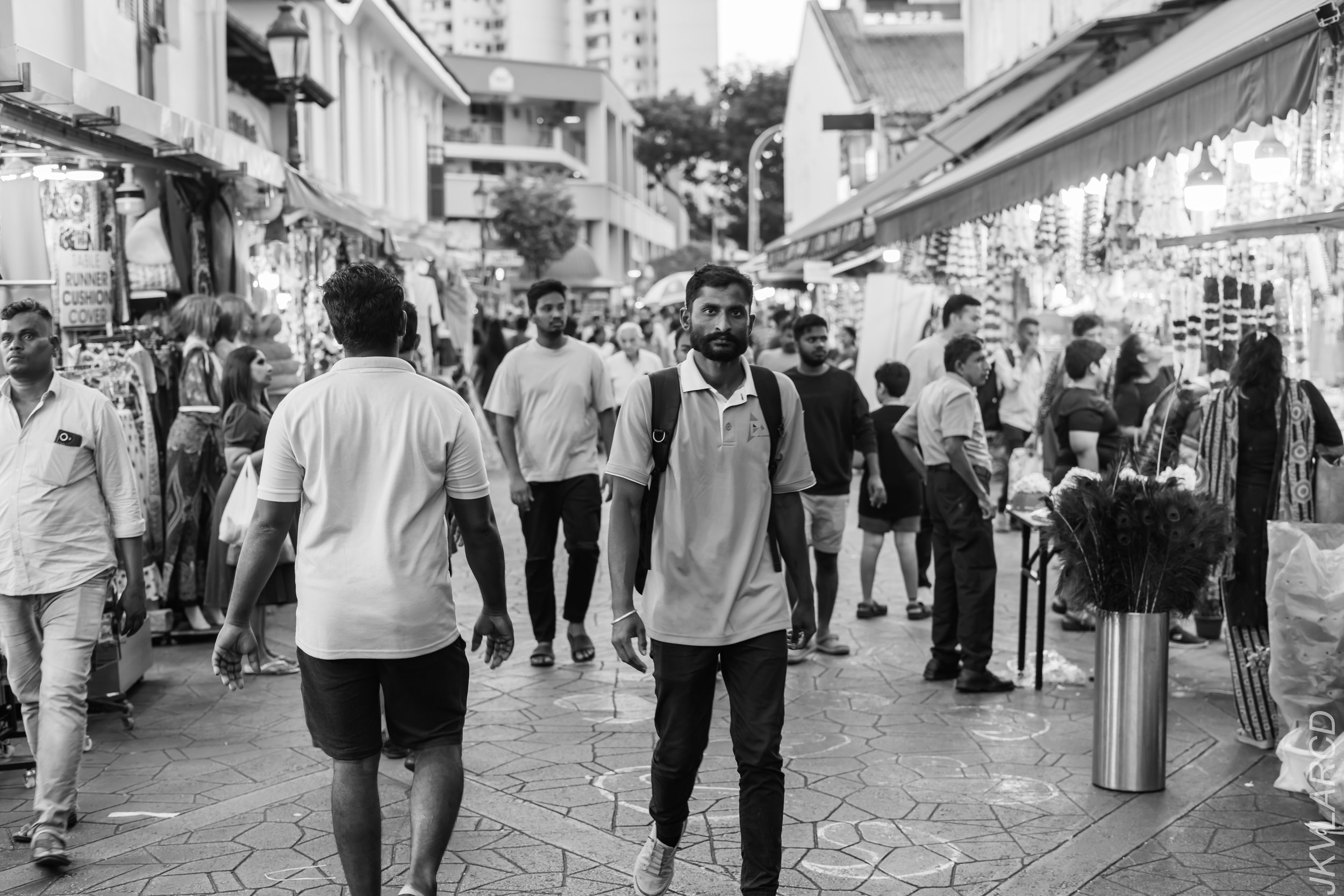 EOS R5_2024_03_23_2913.jpg