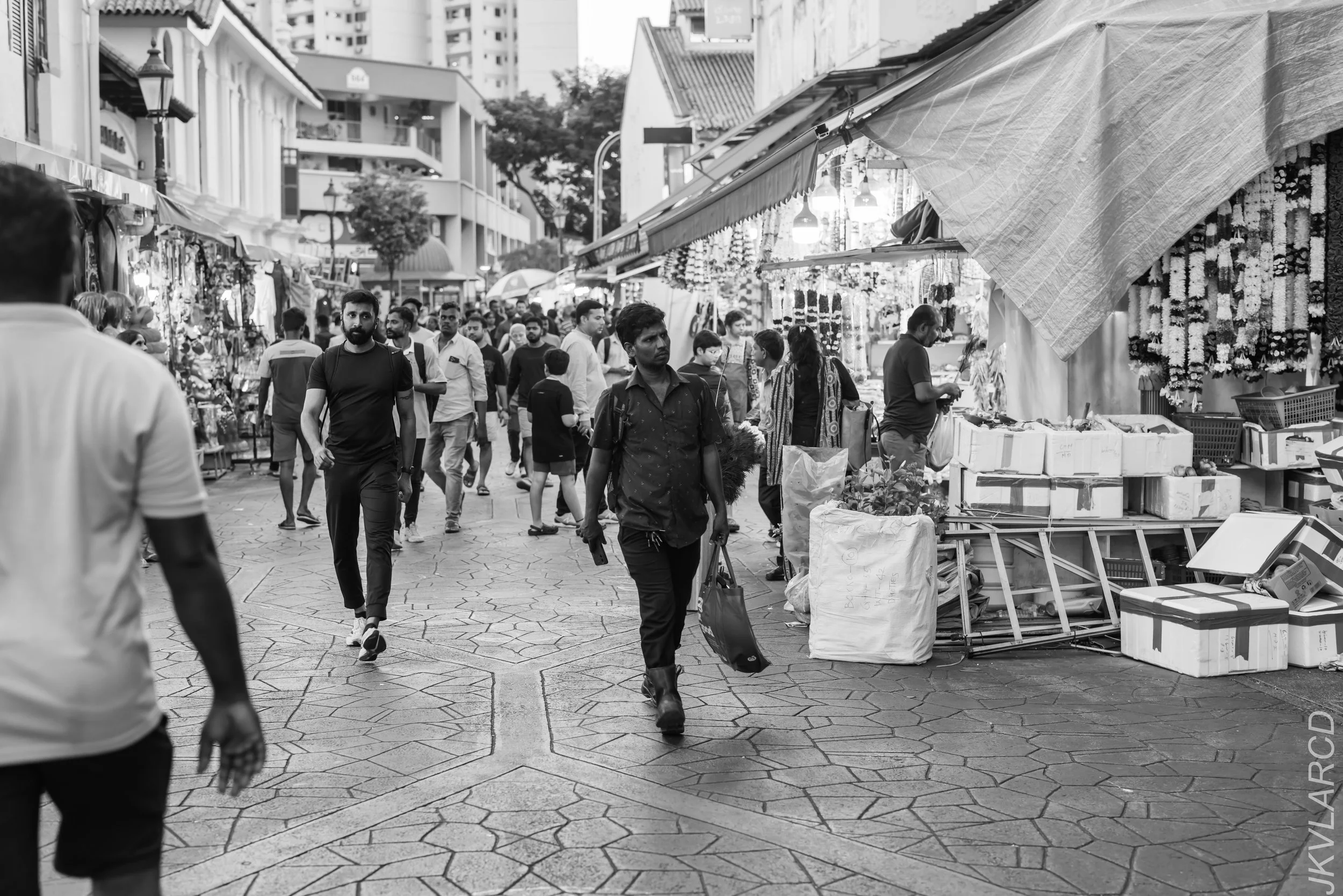 EOS R5_2024_03_23_2912.jpg