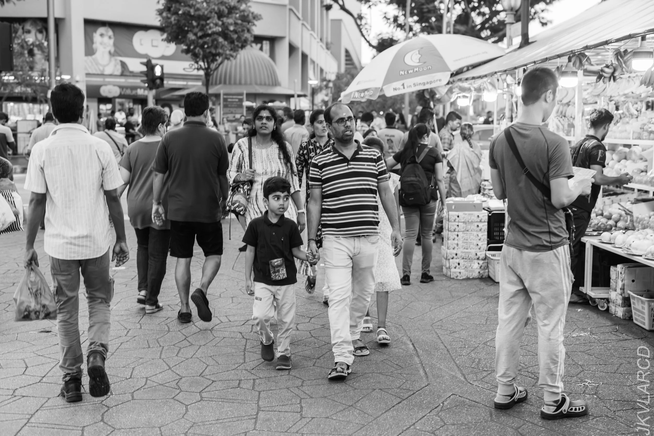 EOS R5_2024_03_23_2917.jpg