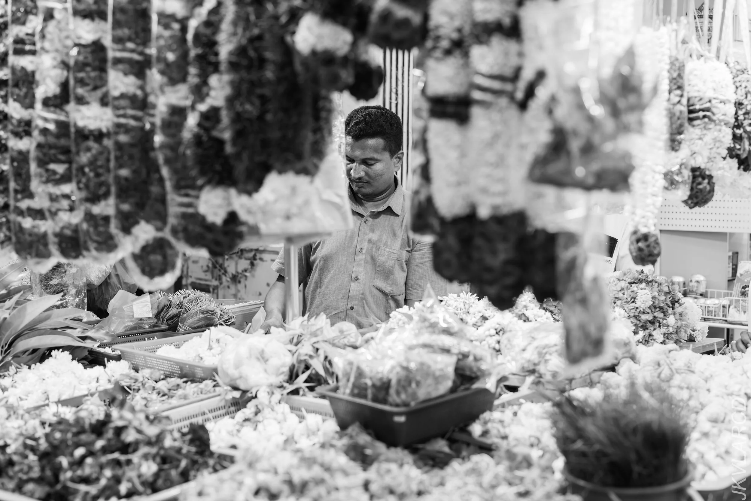 EOS R5_2024_03_23_2934.jpg