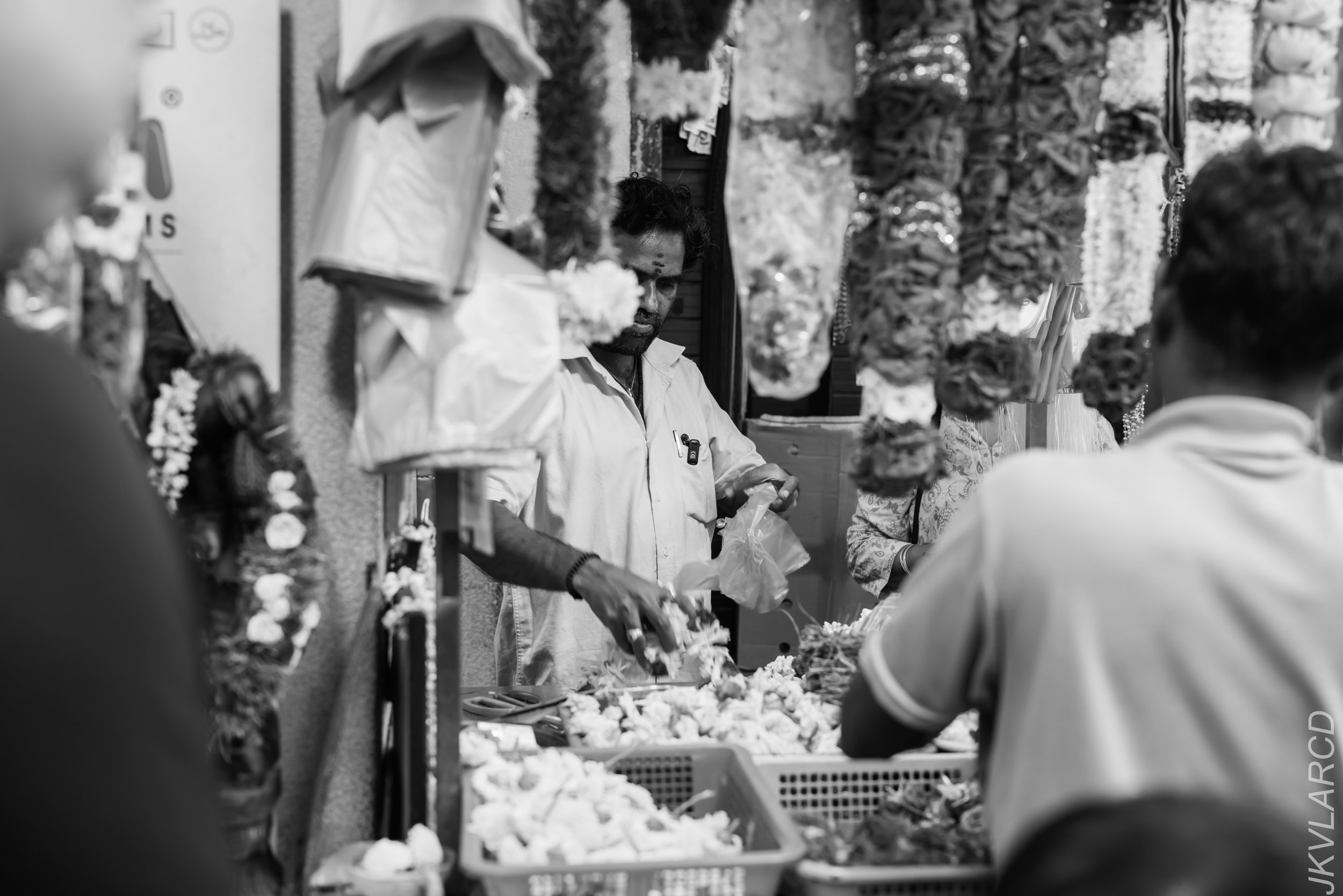 EOS R5_2024_03_23_2935.jpg