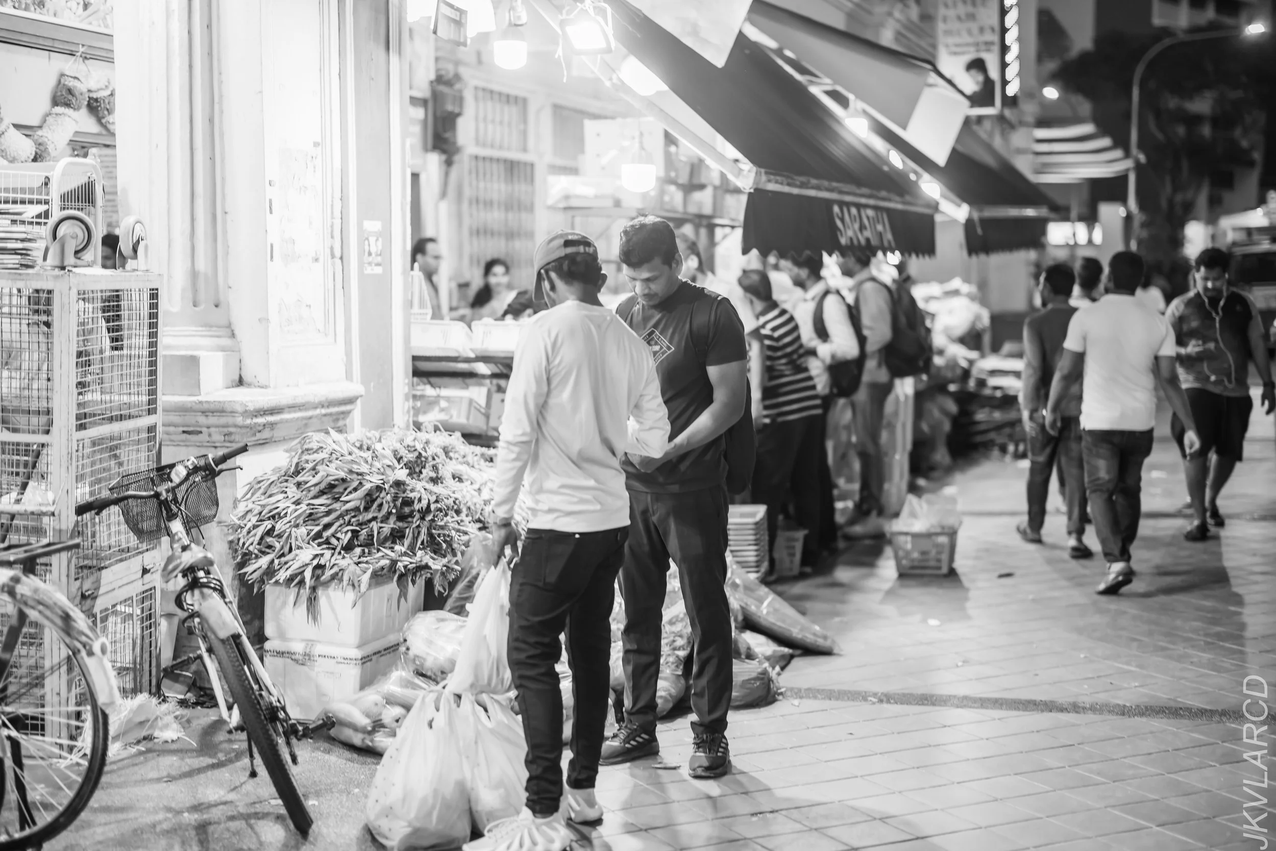 EOS R5_2024_03_23_2989.jpg