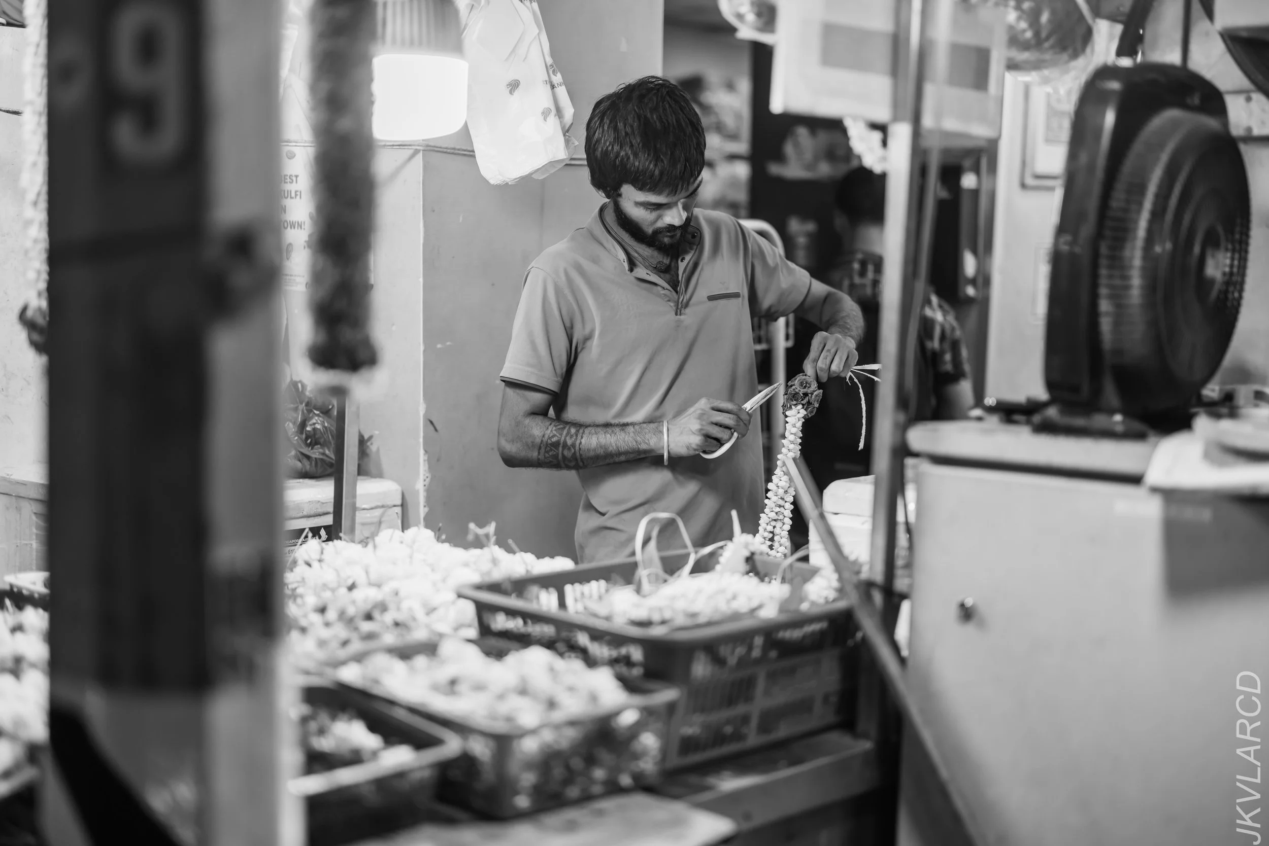 EOS R5_2024_03_23_3028.jpg