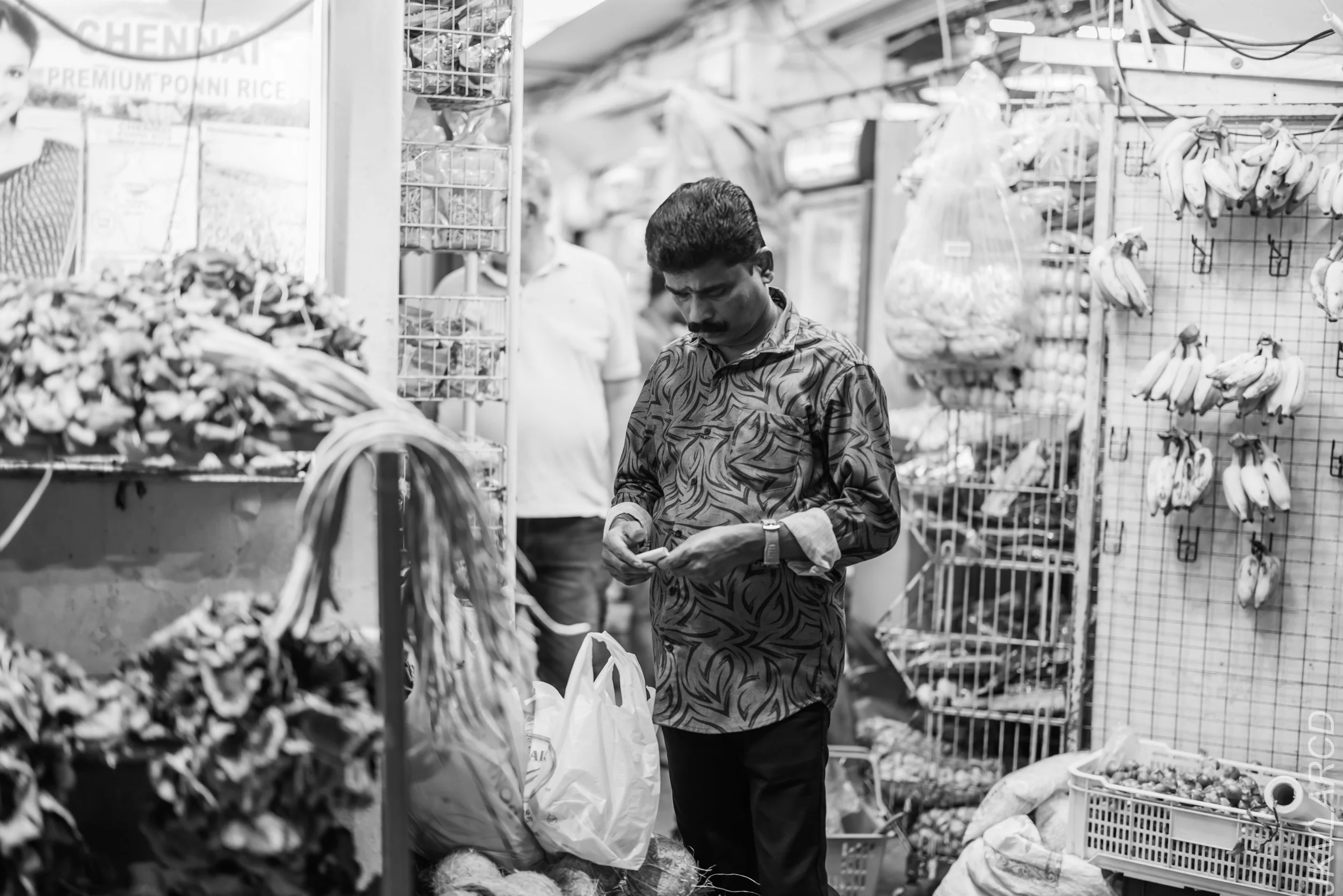 EOS R5_2024_03_23_3041.jpg